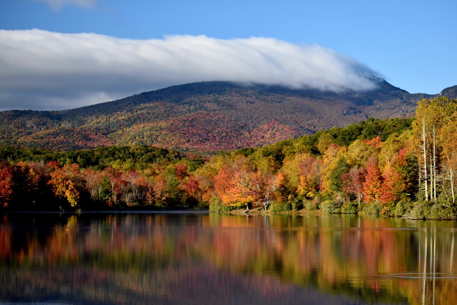 Julian Price Memorial Park - Image 1