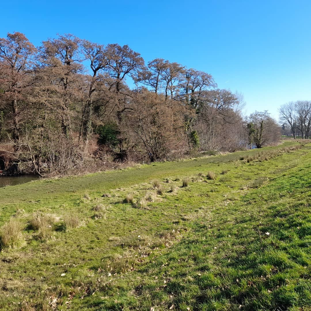 Tredegar Park Newport - Image 1