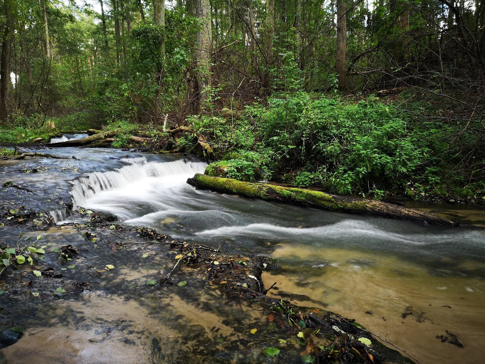 Czartowe Pole Reserve - Image 1