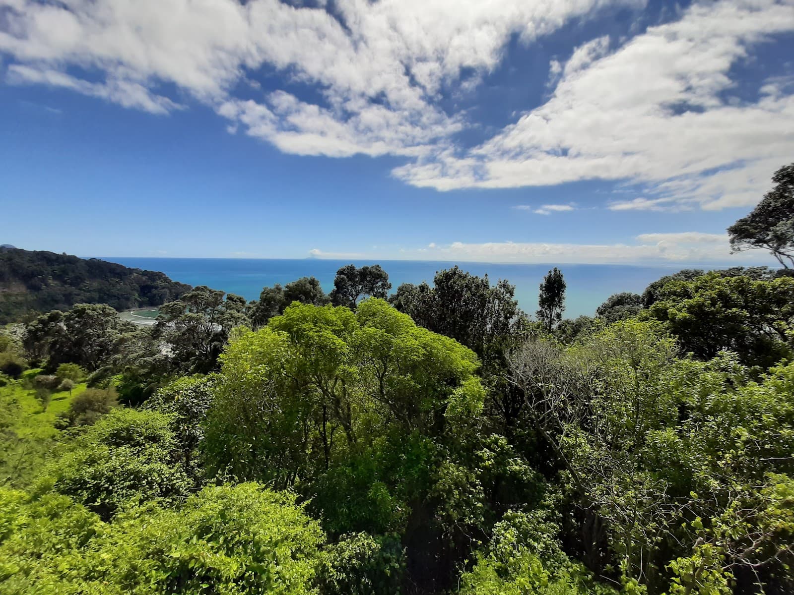 Ōhiwa Harbour Scenic Lookout - Image 1