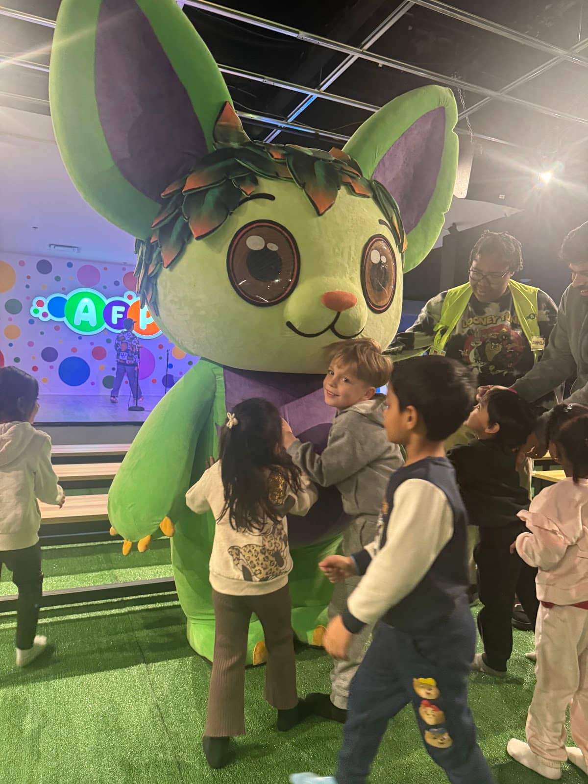 Multi-Level Ball Pits