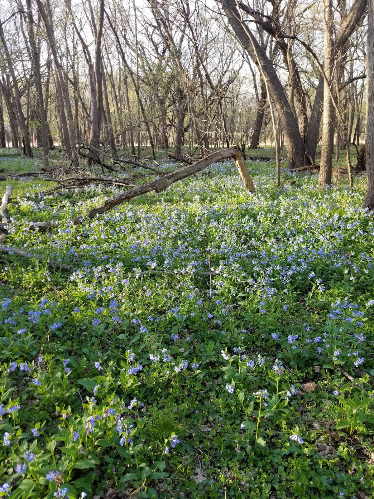 Family-Friendly Trails