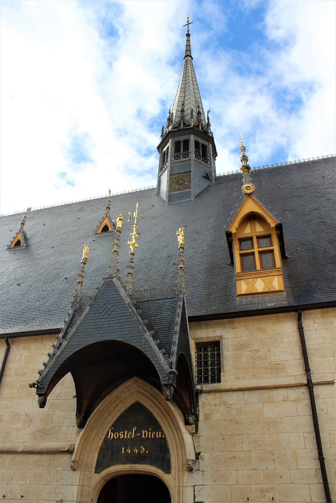 Vertical photo