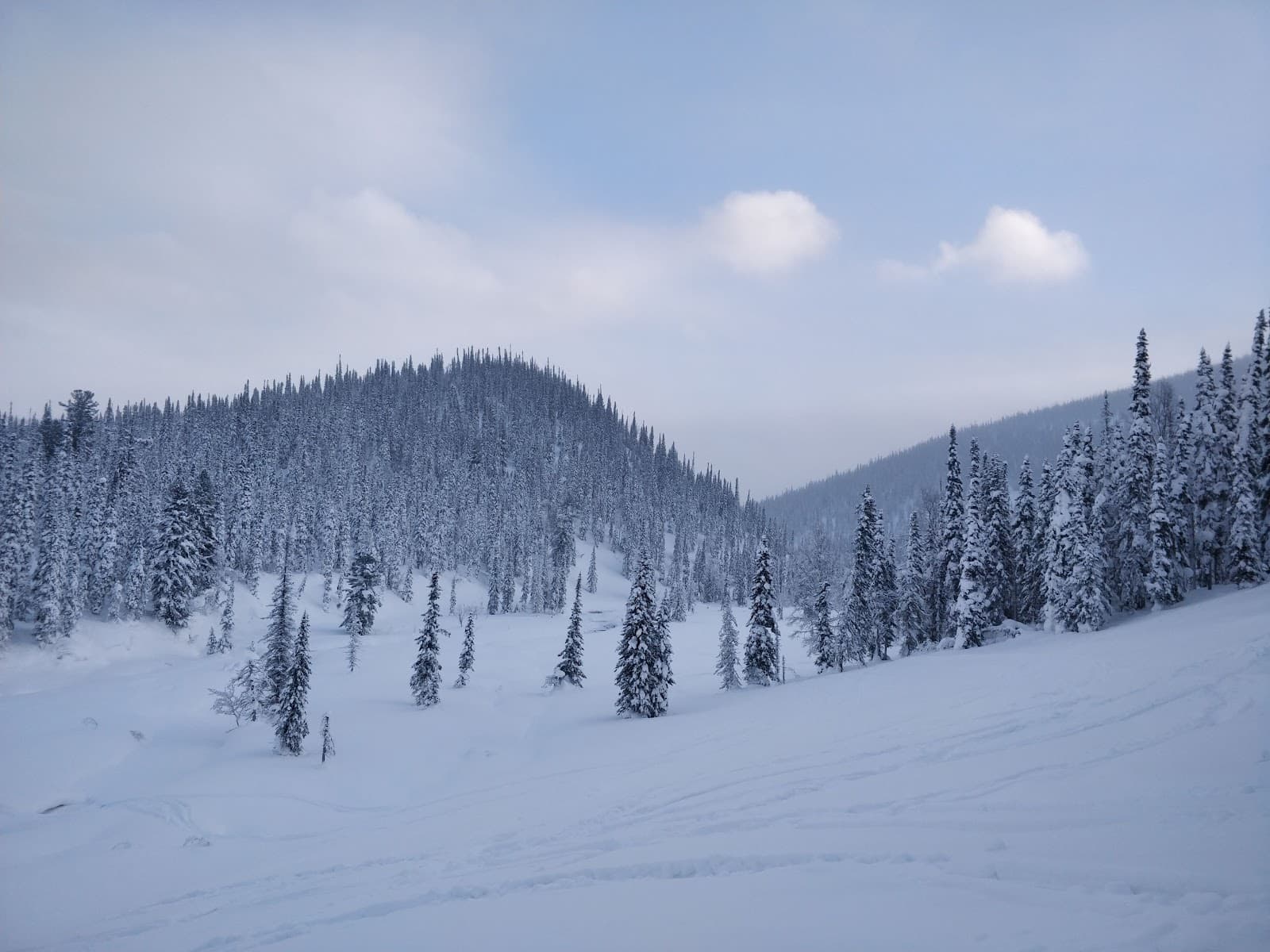 Kuznetsky Alatau Nature Reserve - Image 1