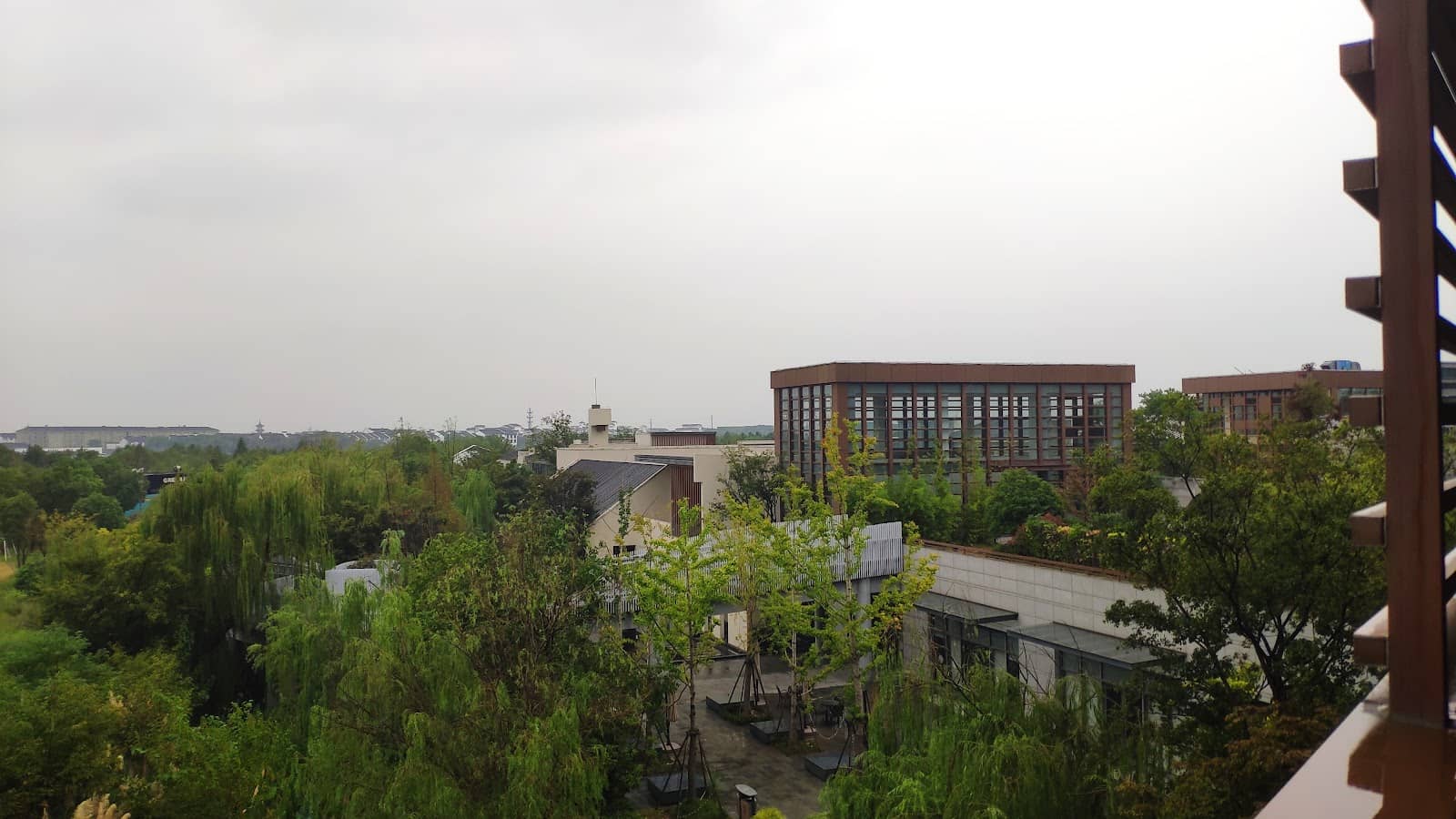 Culinary Delights