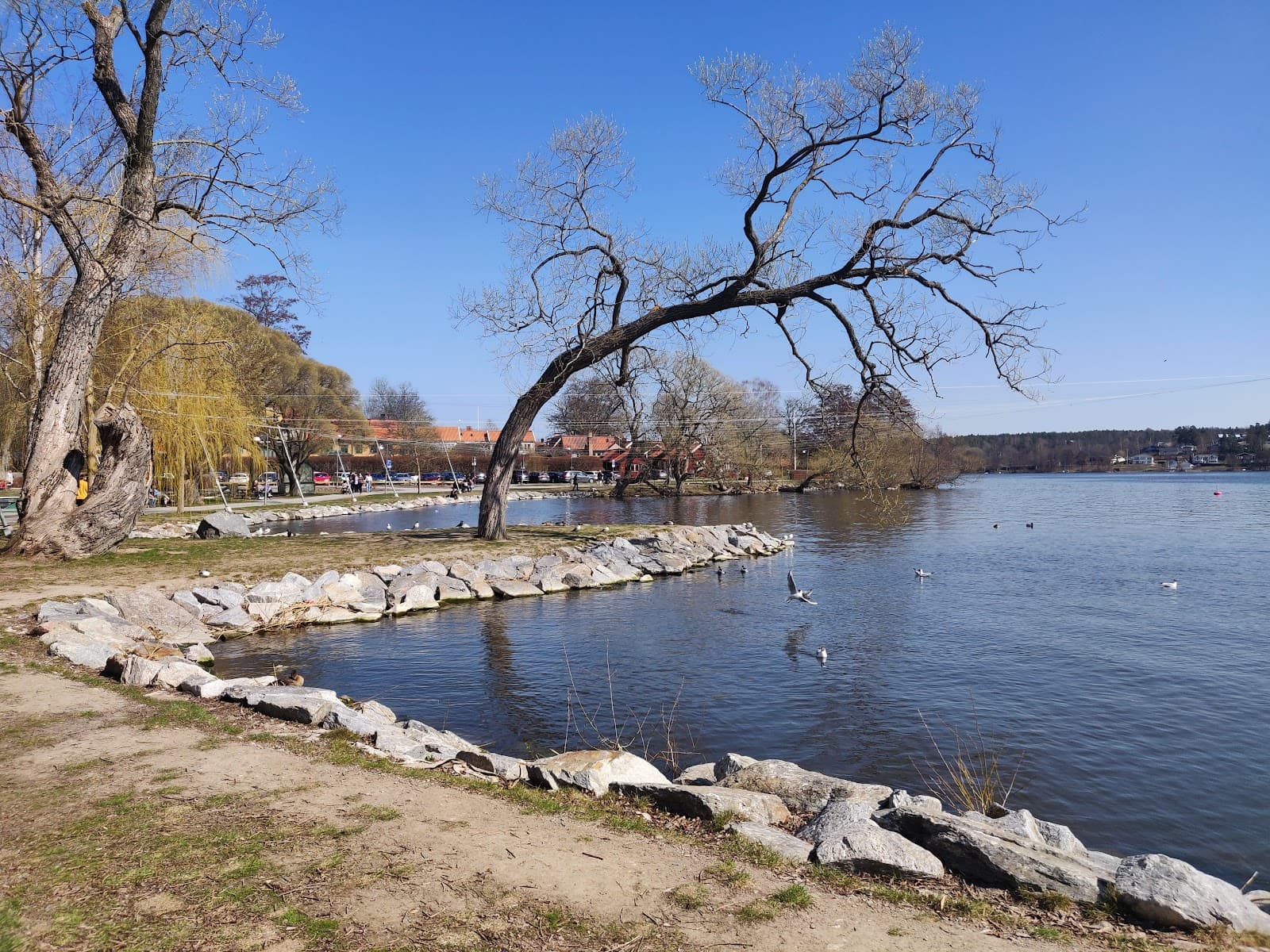 Societetsparken - Image 1