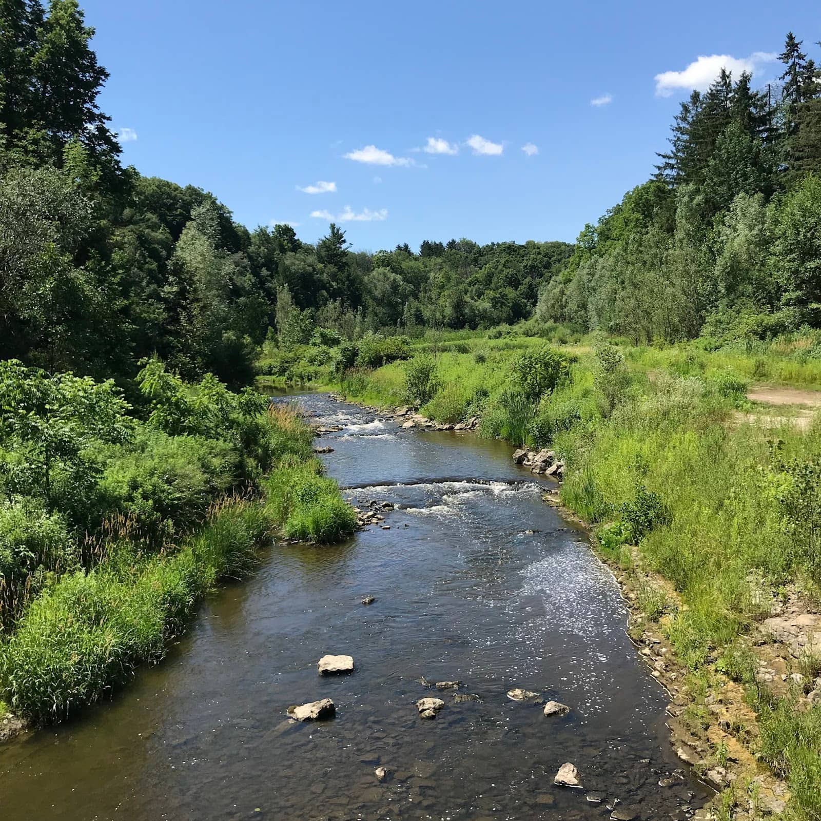 Beaver Dams