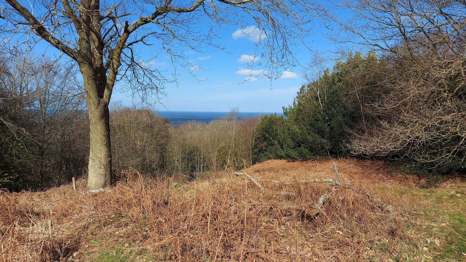 Roman Camp Beeston Regis - Image 1