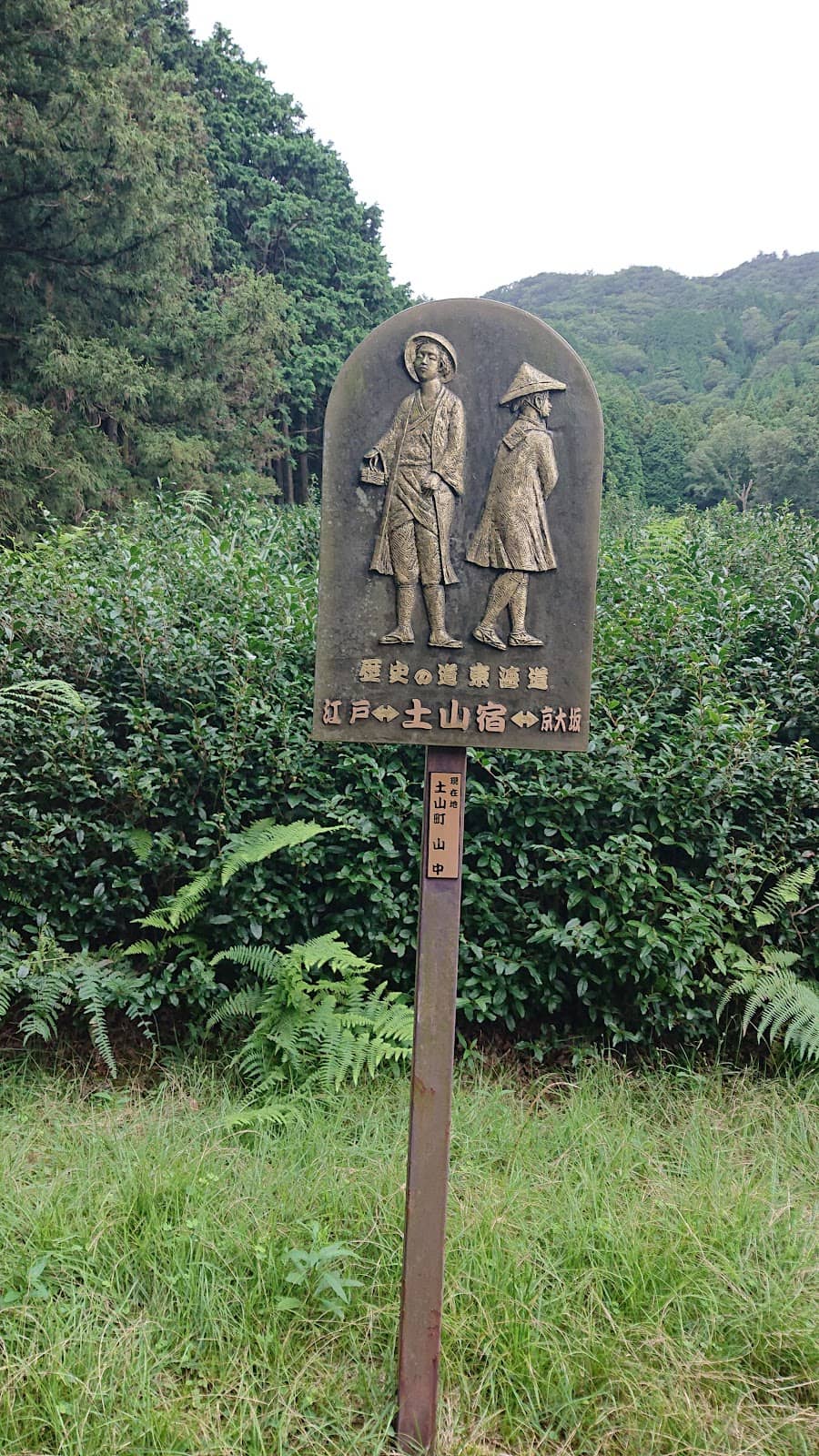 Vertical photo