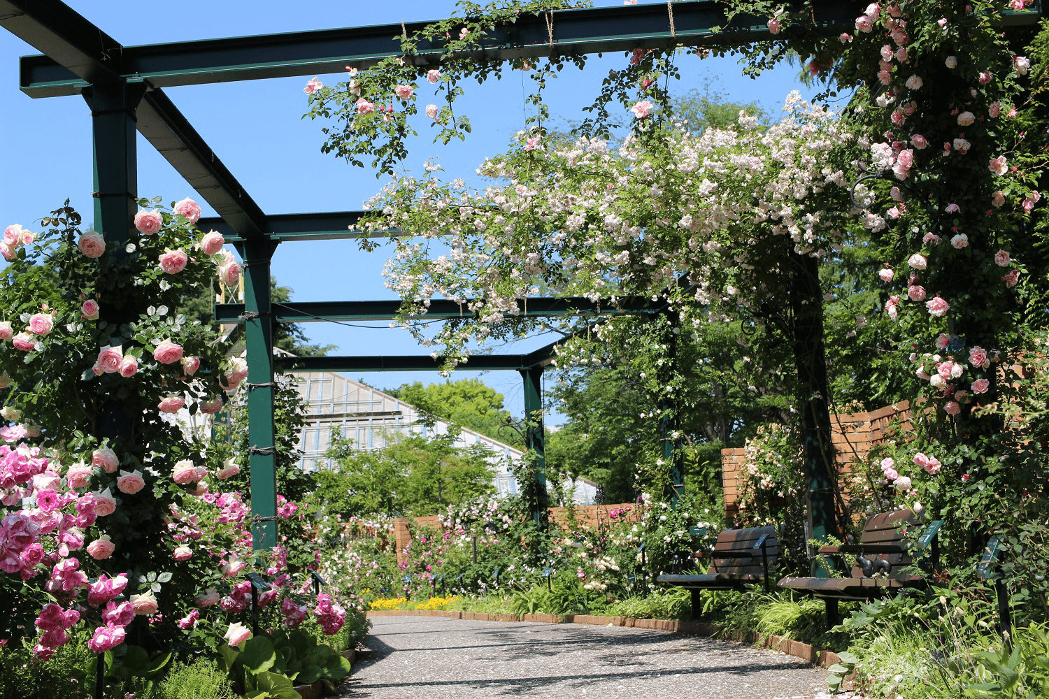 Shikinokaori Rose Garden - Image 1