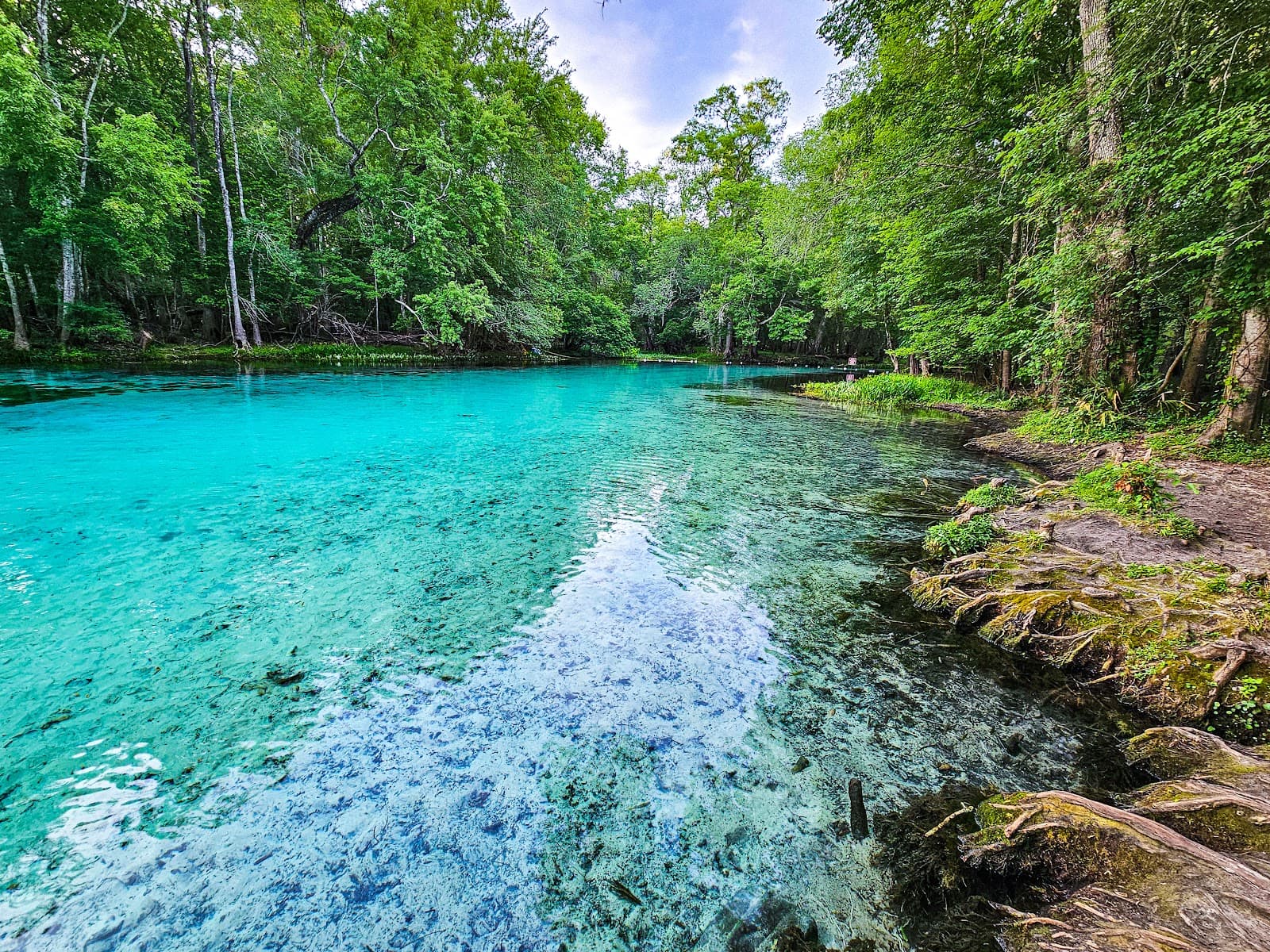 Gilchrist Blue Springs State Park - Image 1
