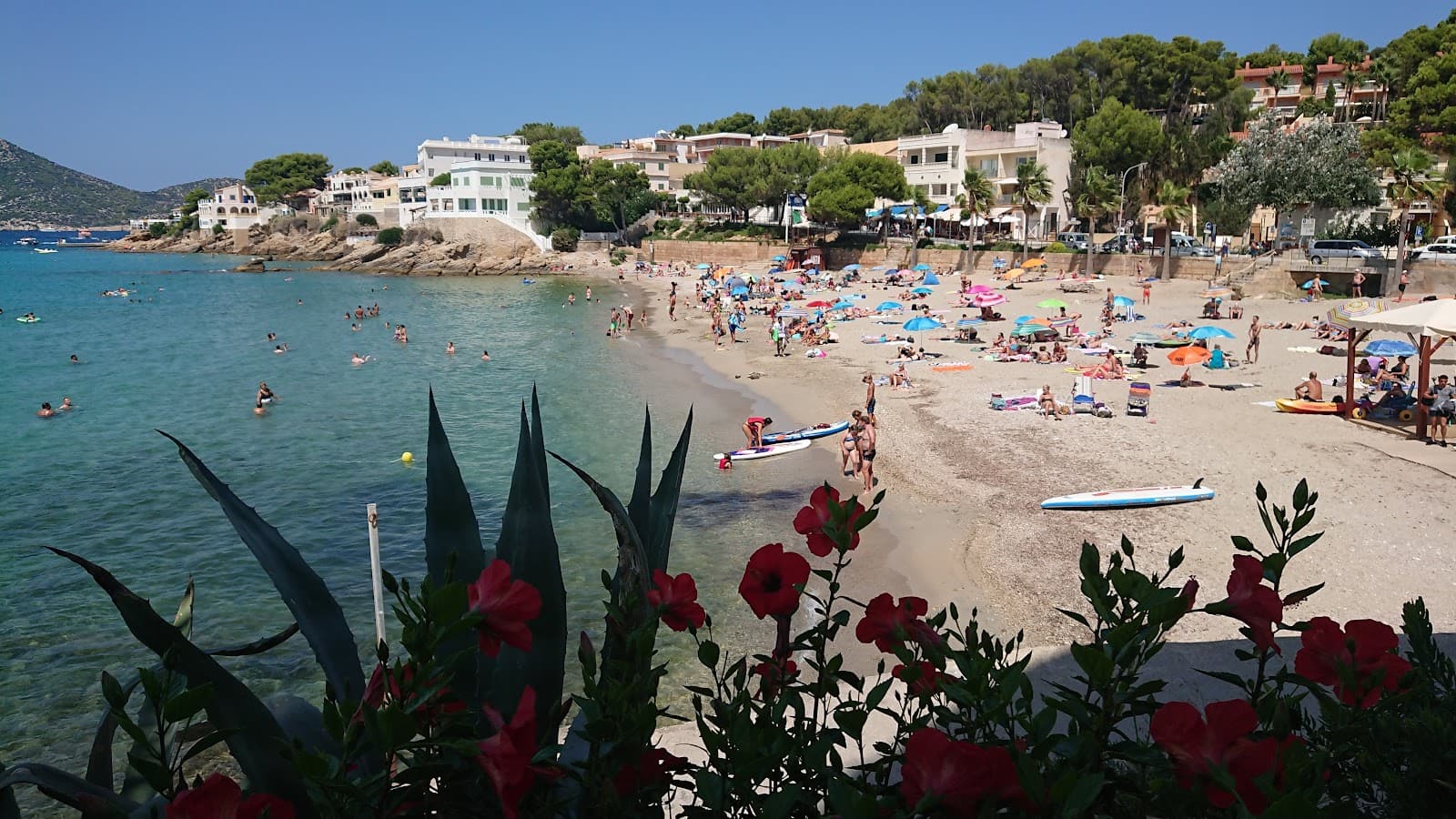 Sant Elm Beach - Image 1