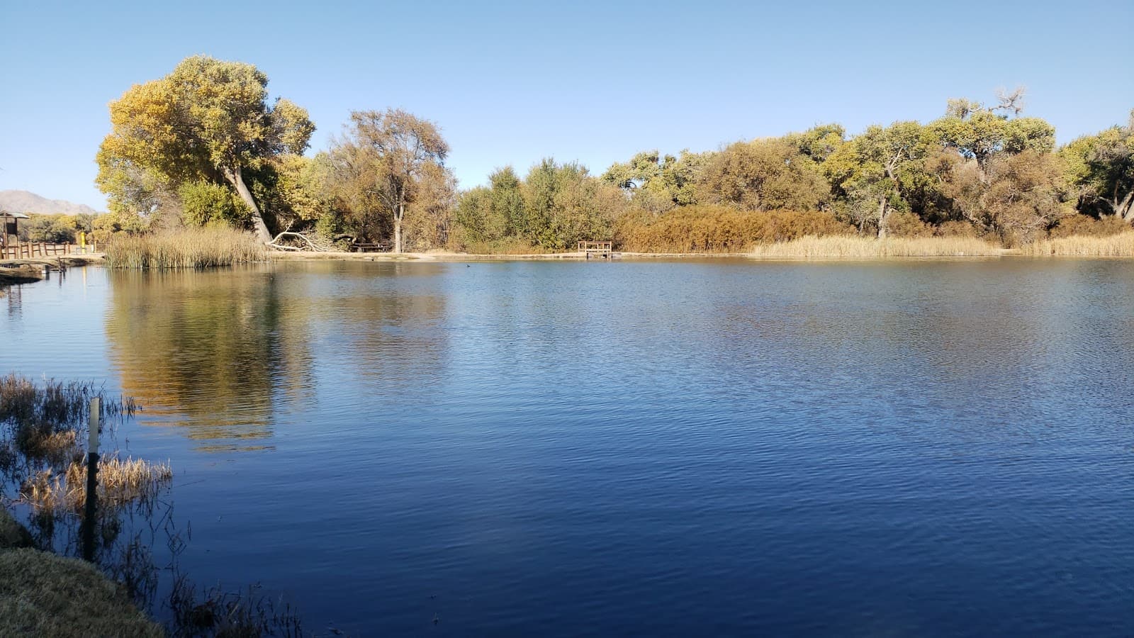 Mojave Narrows Regional Park - Image 1