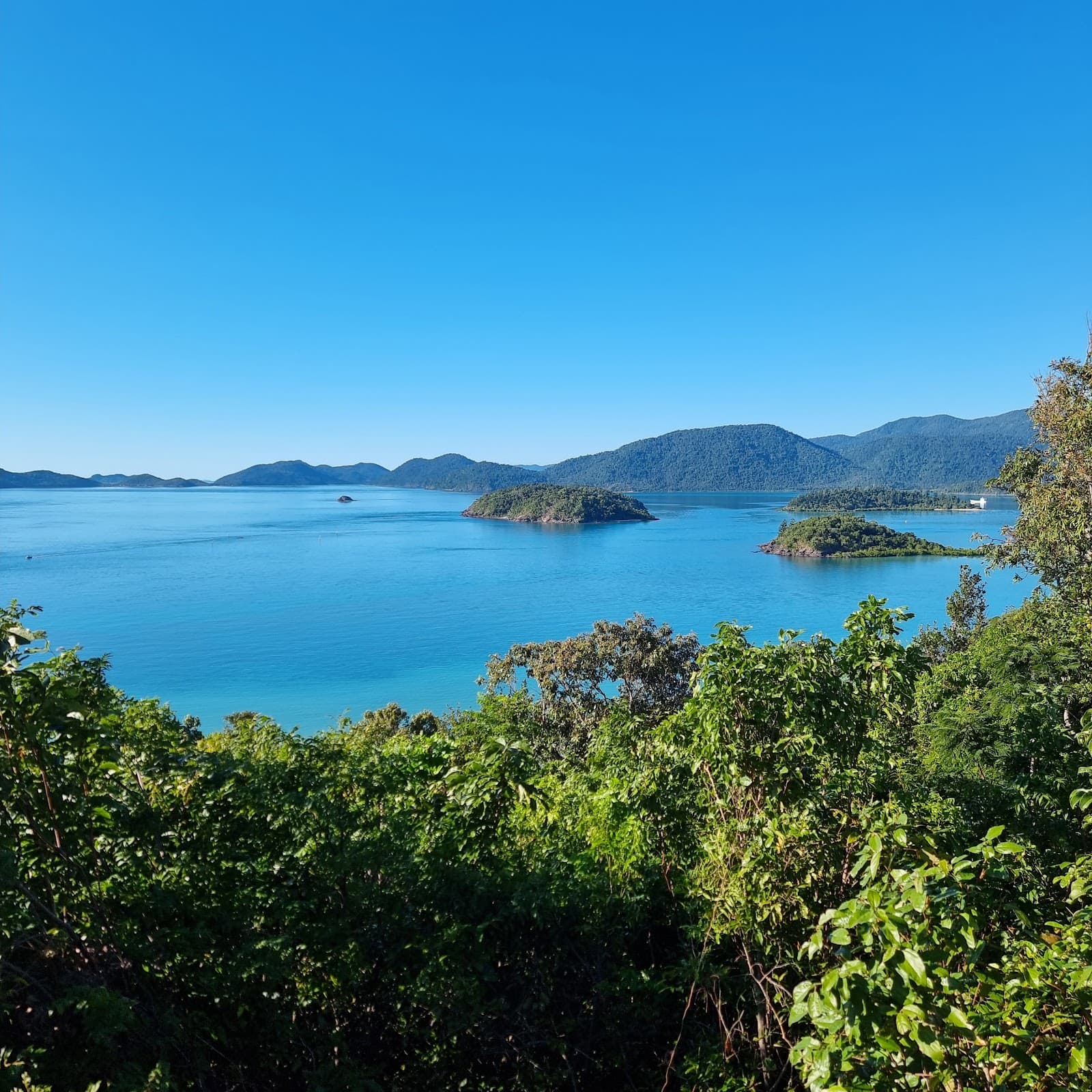 Mount Rooper Lookout - Image 1
