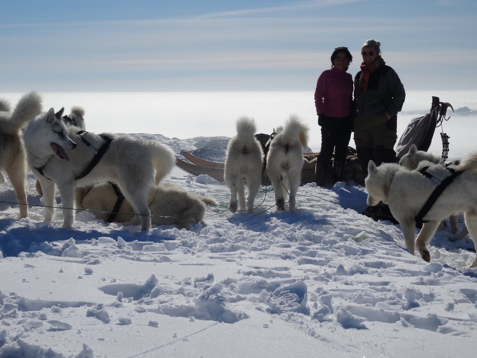 Ilulissat Dog Sledding Center - Image 1