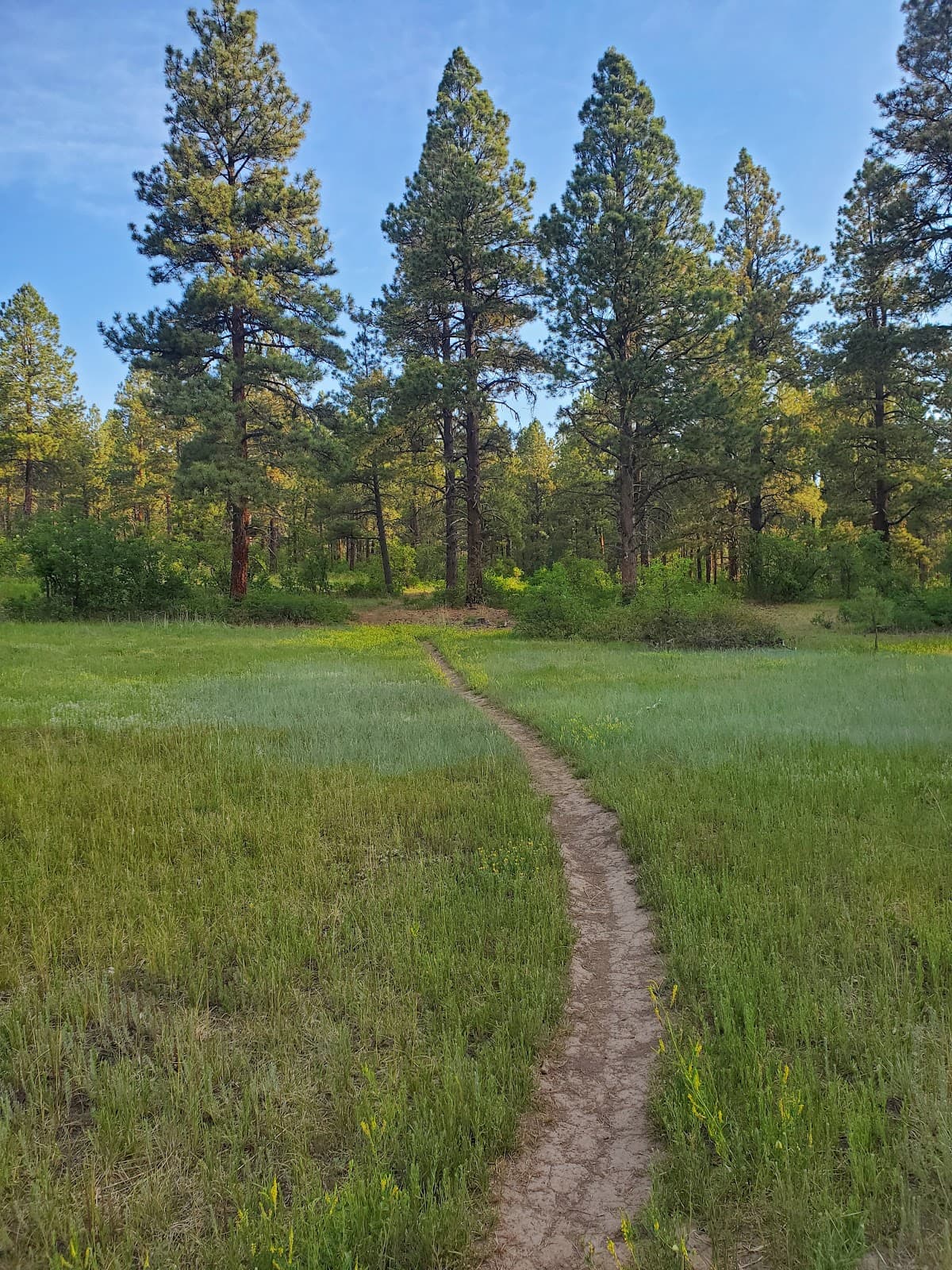 Cloman Park - Image 1