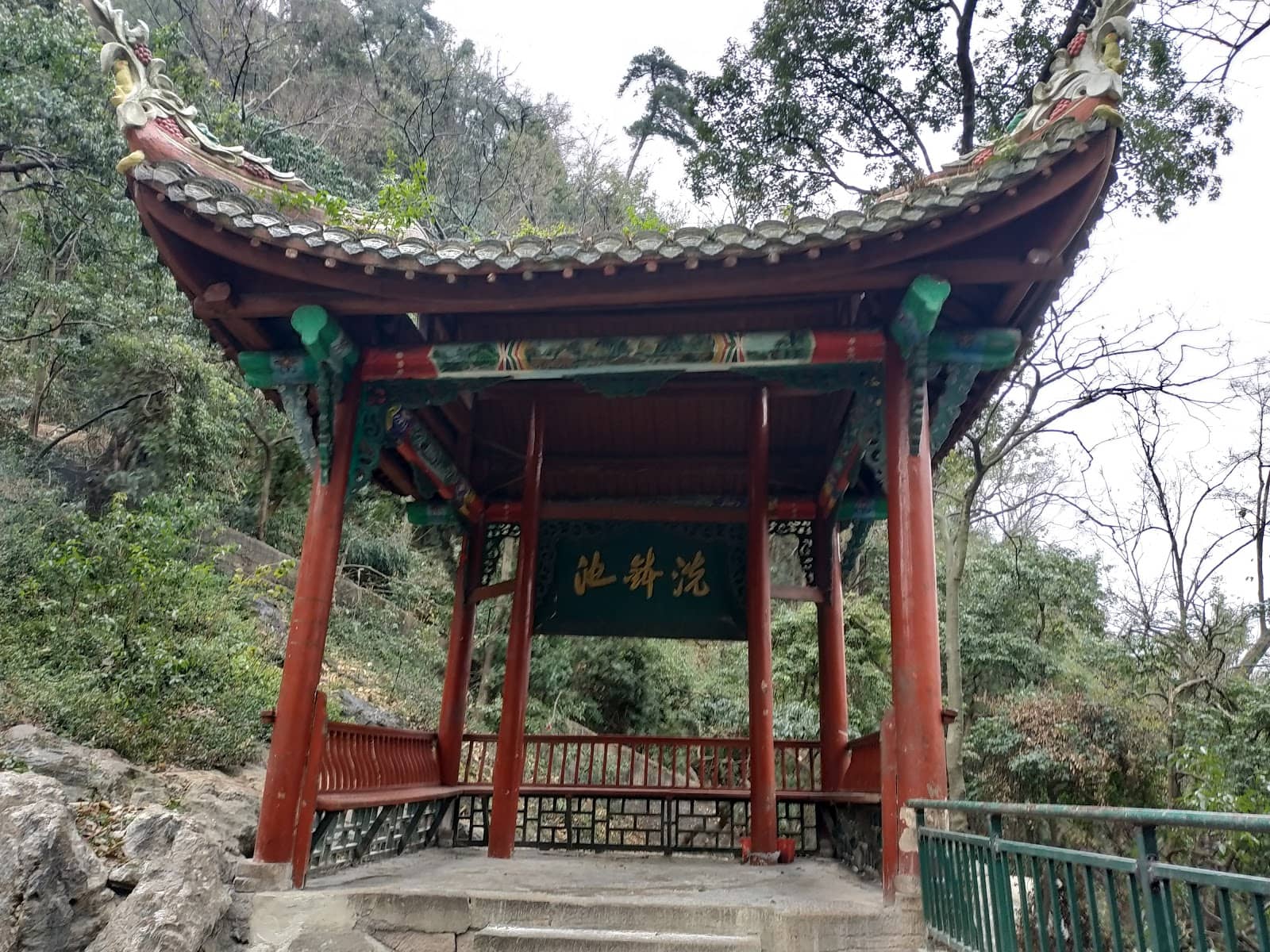 Vertical photo