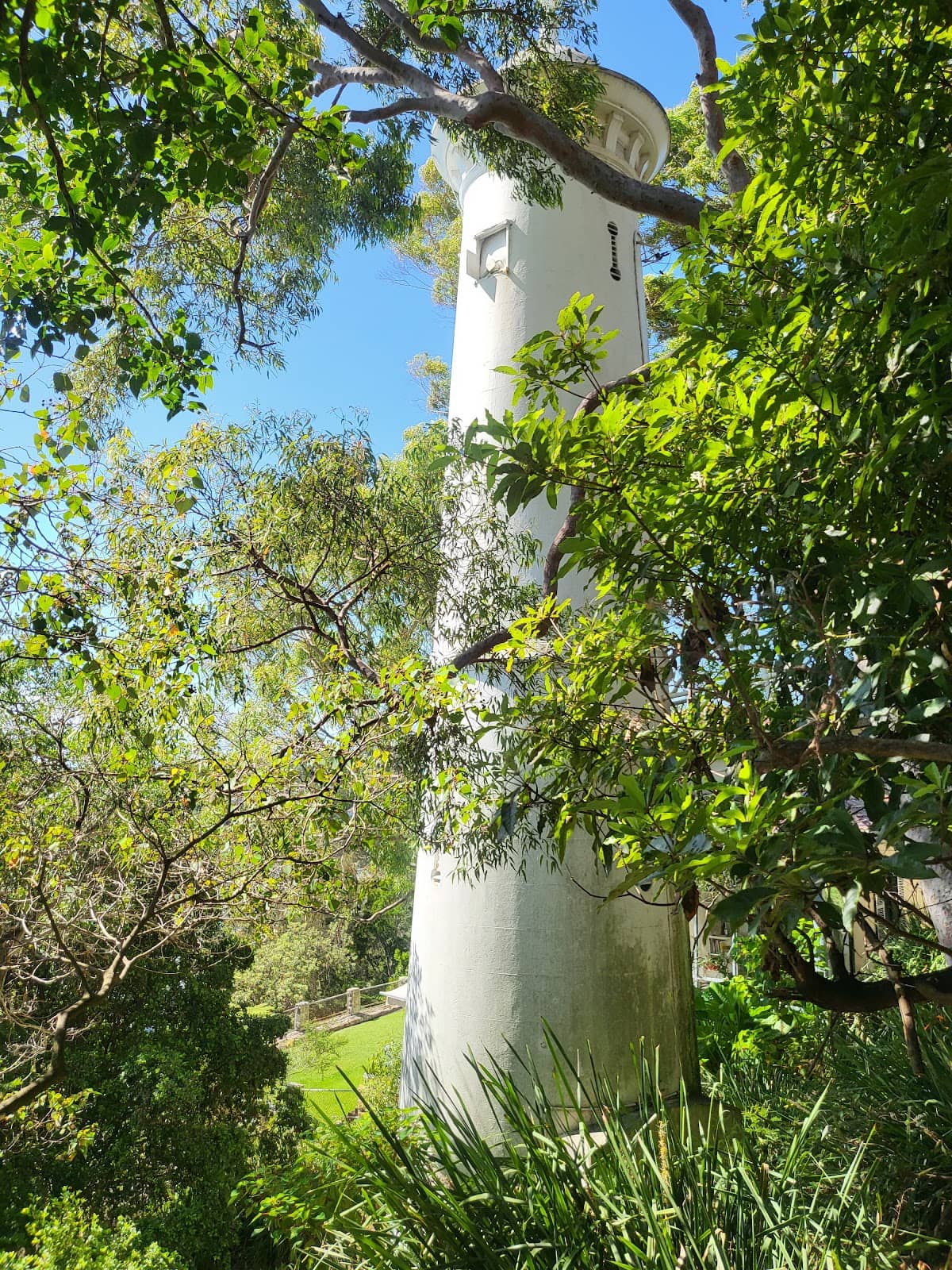 Vertical photo
