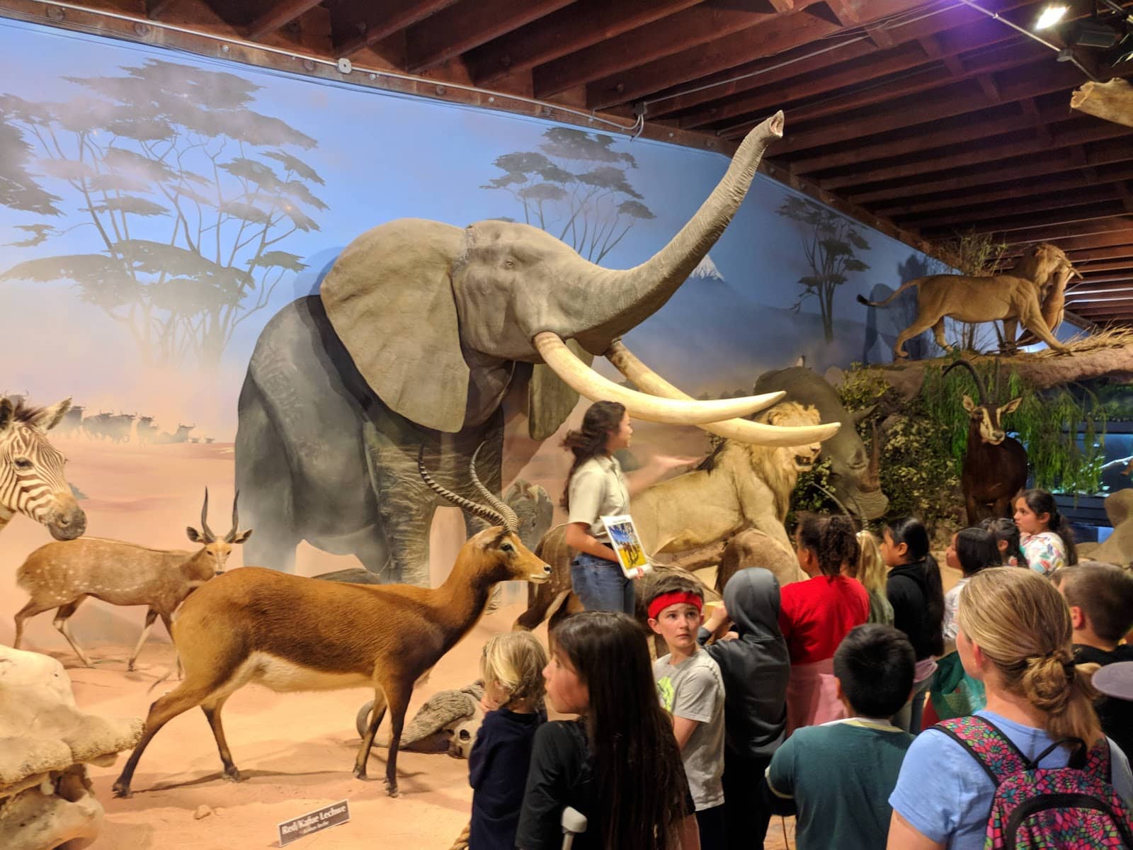Student Docent Tours