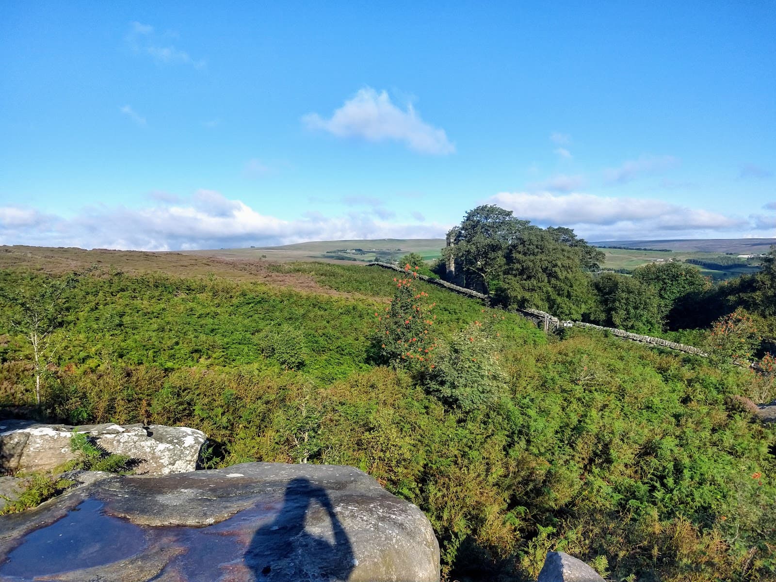 Guisecliff Woods and viewpoint - Image 1