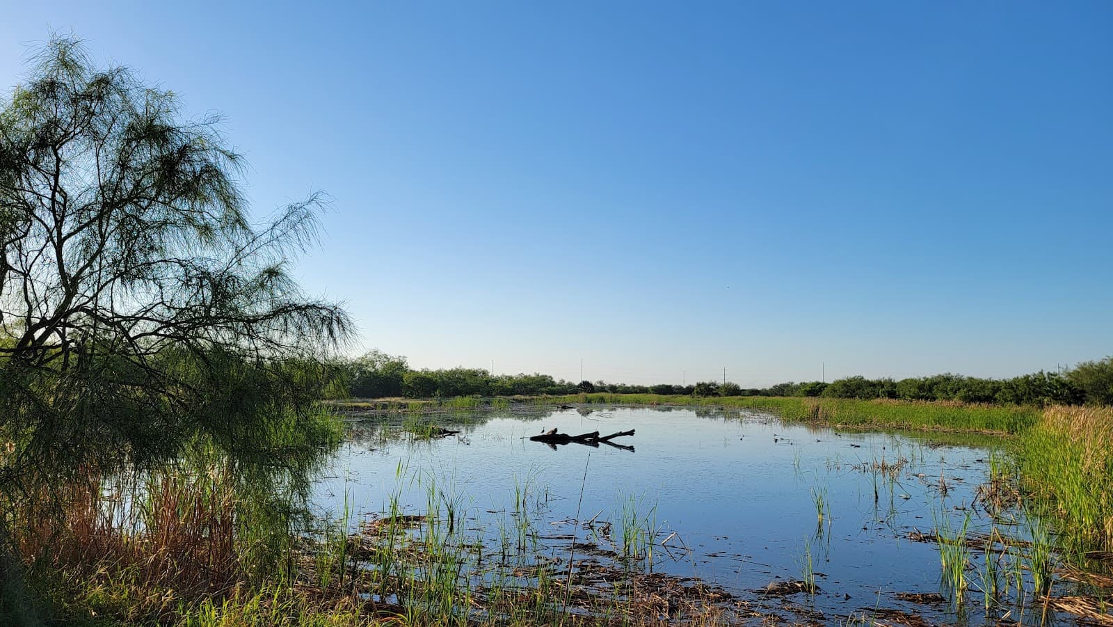 Estero Llano Grande State Park Weslaco Texas - Image 1