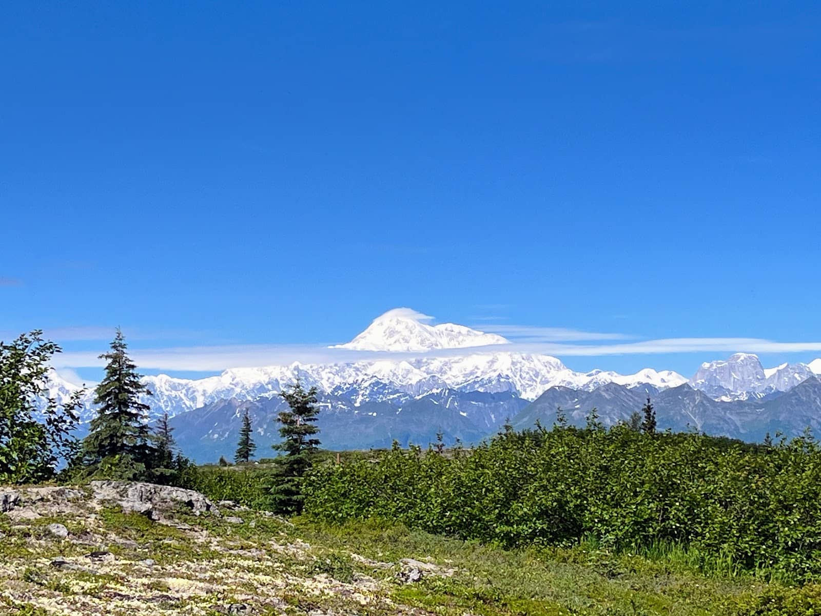 Tundra Landscape