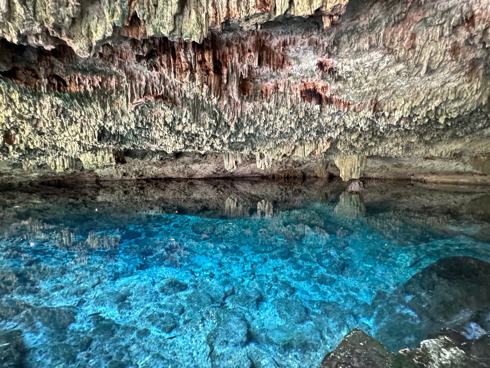 Cenote Dos Palmas, Puerto Morelos - Image 1