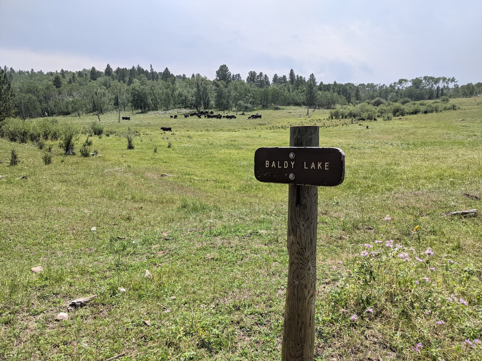 Old Baldy Trail - Image 1