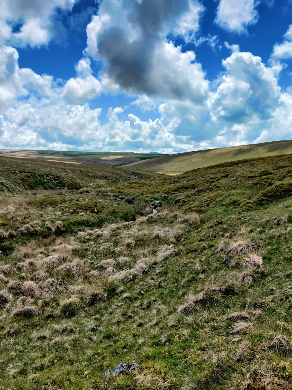 Tavy Cleave - Image 1