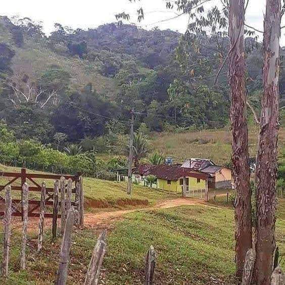 Testo Rega - Image 1