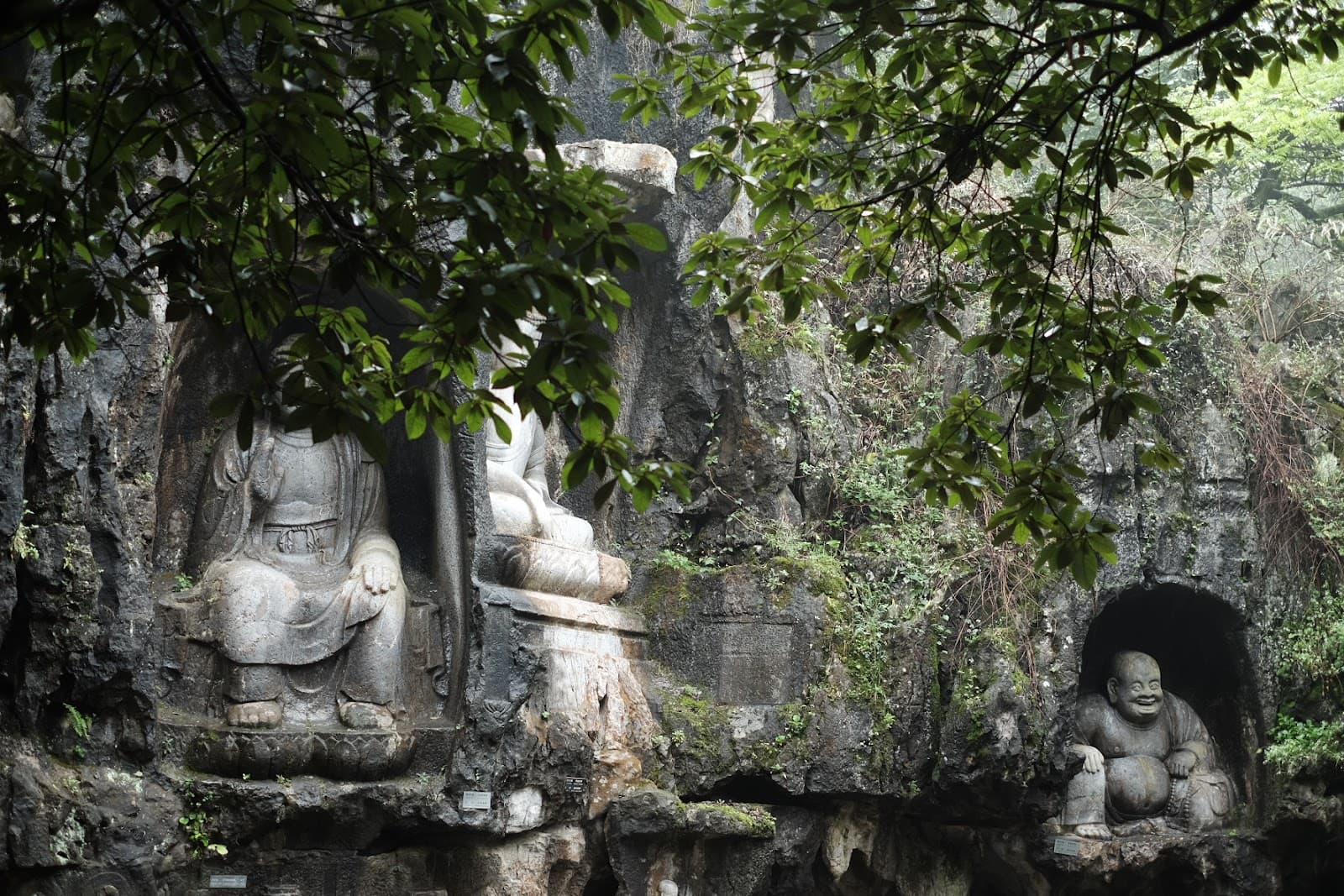Fei Lai Feng Hangzhou - Image 1