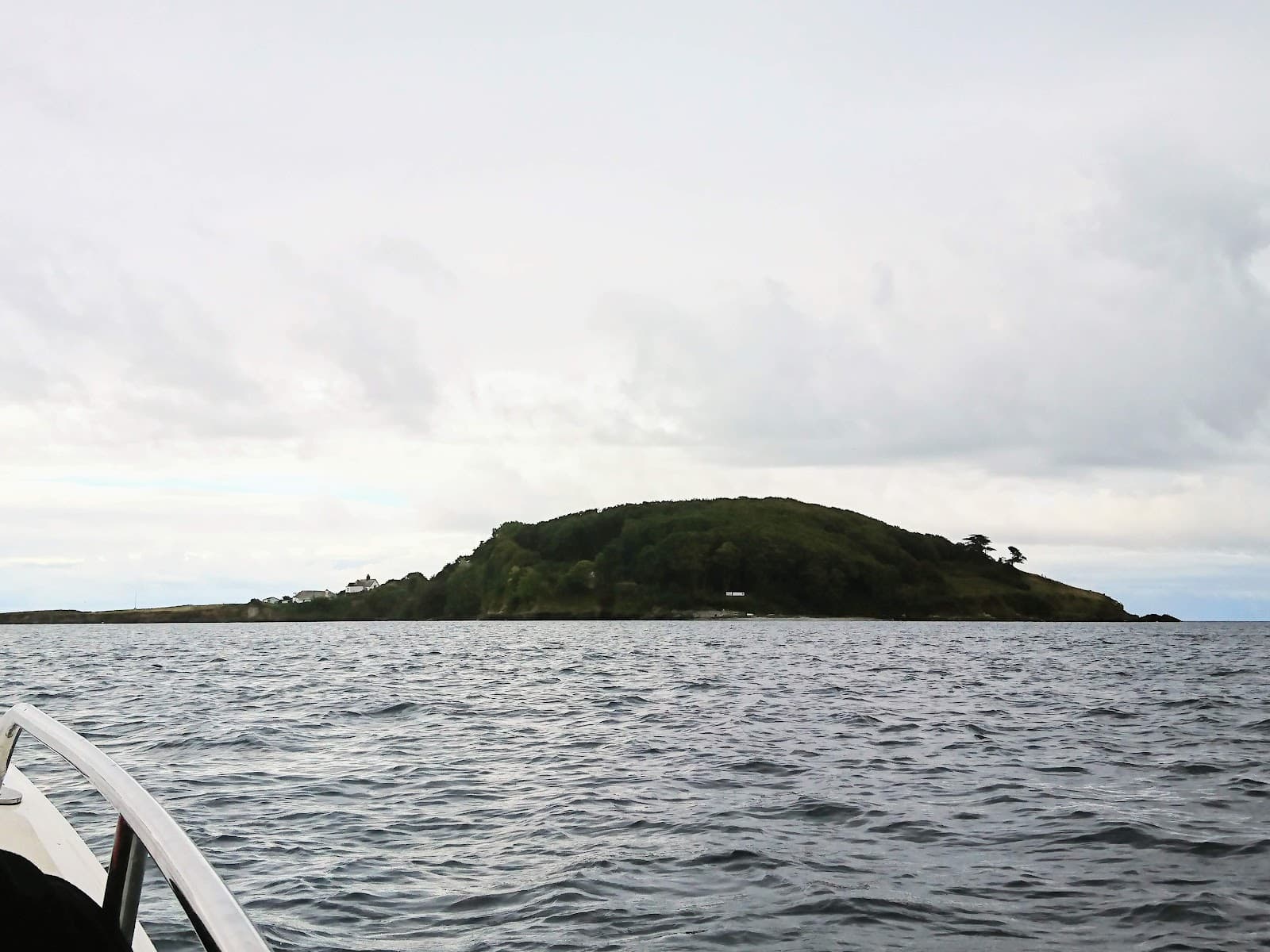 Looe Island (St George's Island) - Image 1