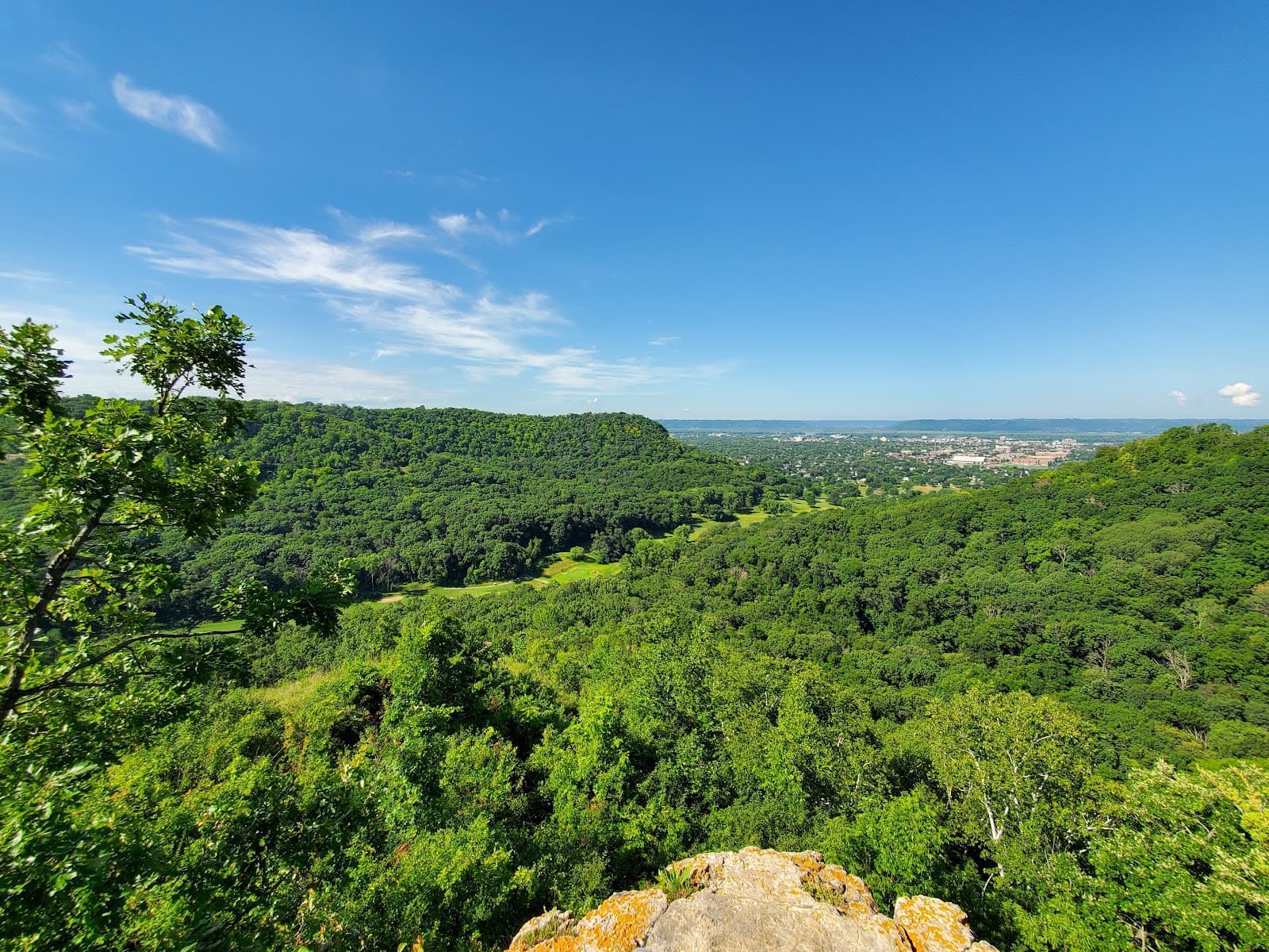 Hixon Forest - Image 1