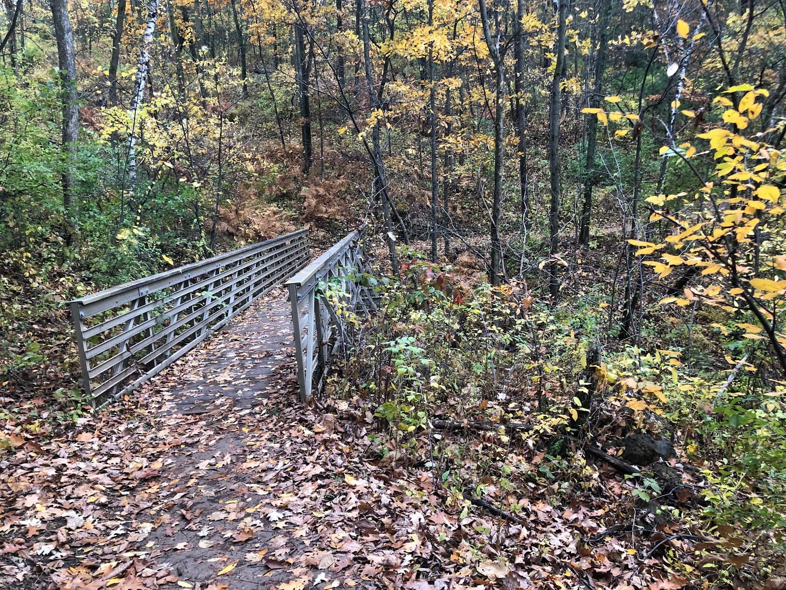 Vertical photo