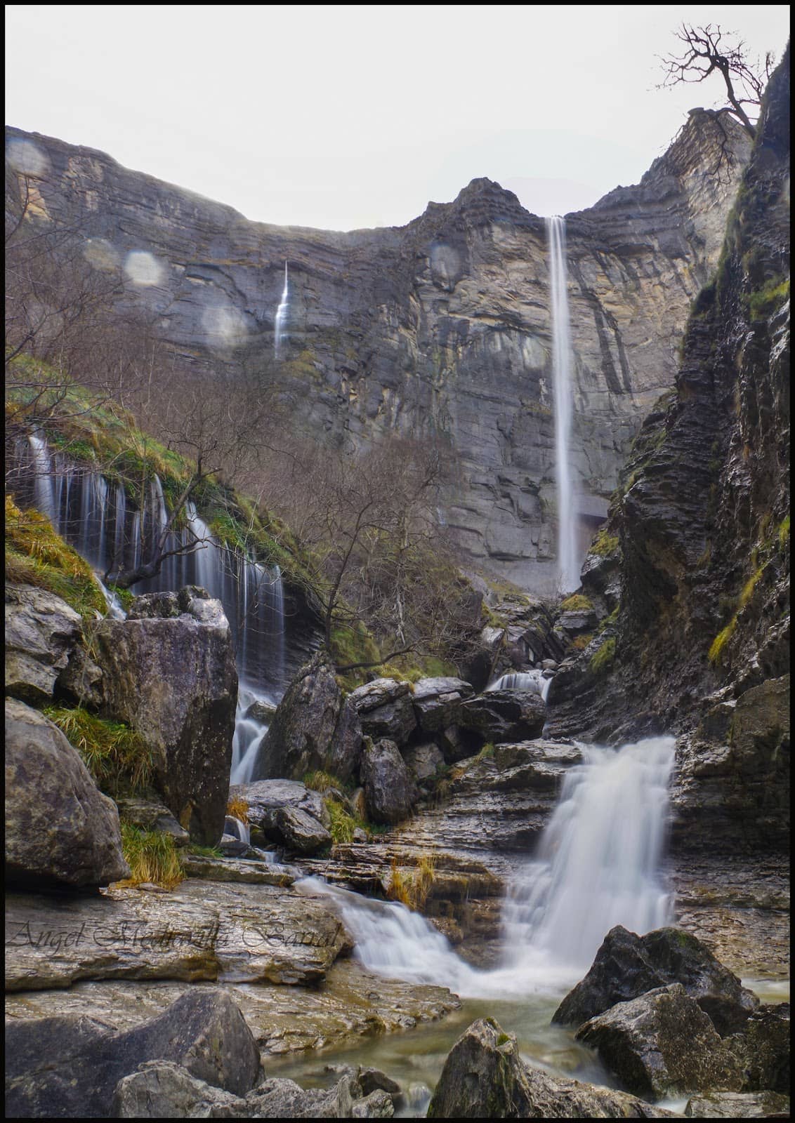 Vertical photo