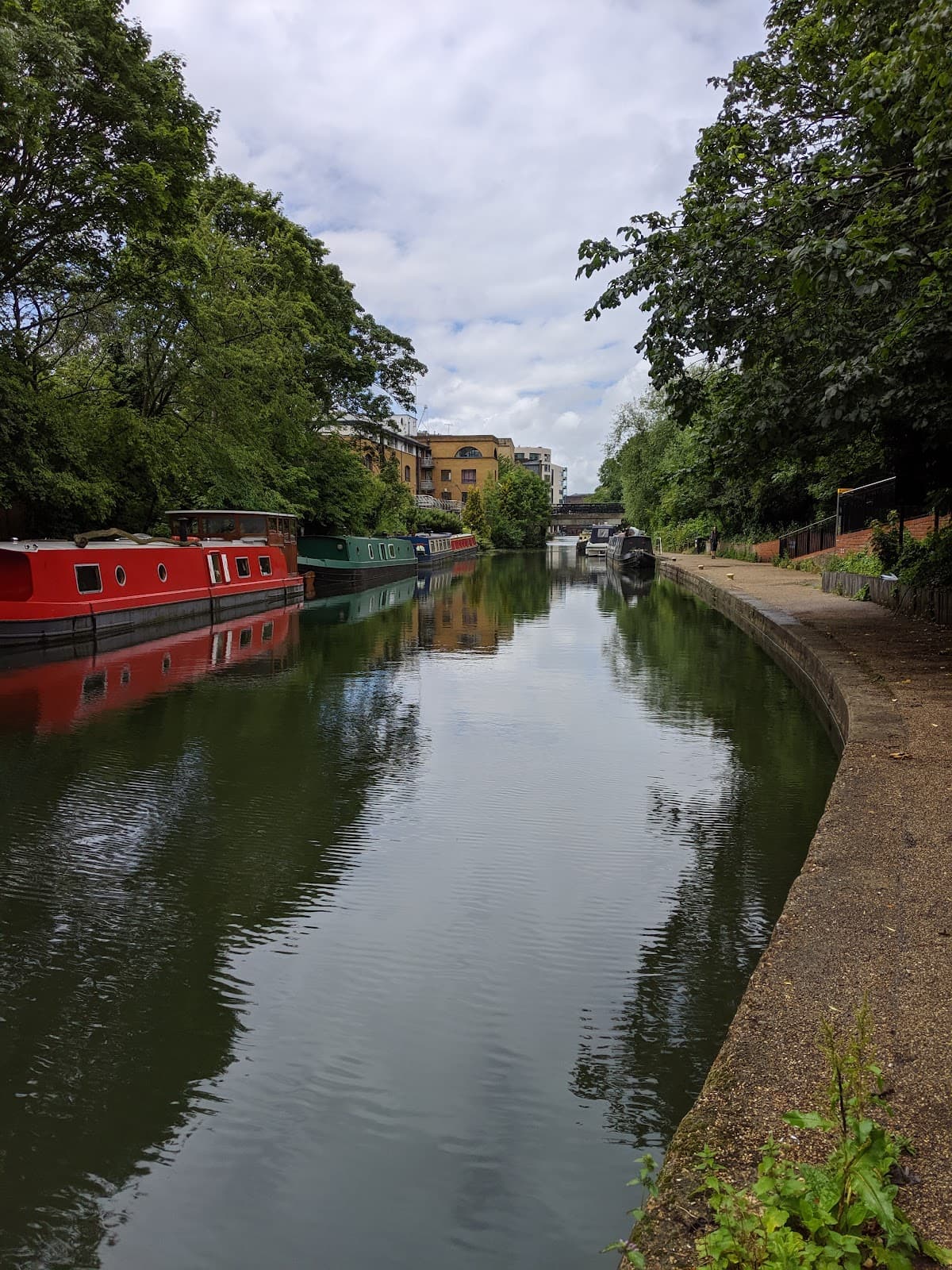 Regent's Canal, Regent's Park - Image 1