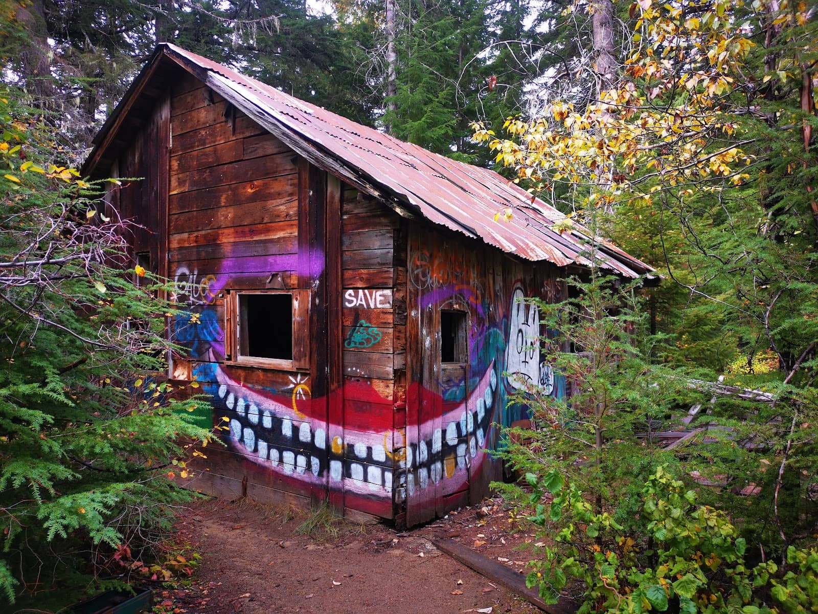 The Giant Logging Tractor