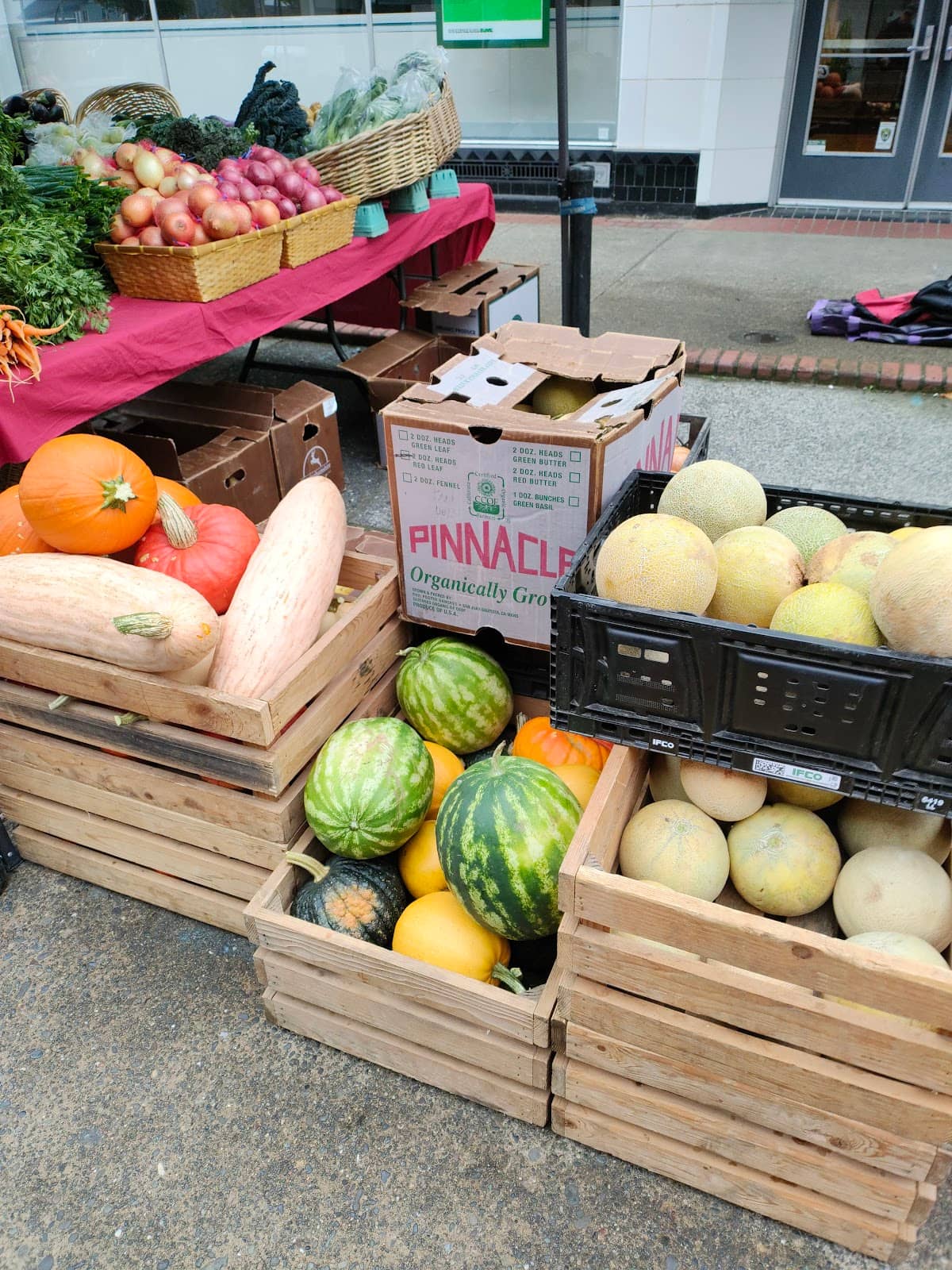 Delicious Food Trucks