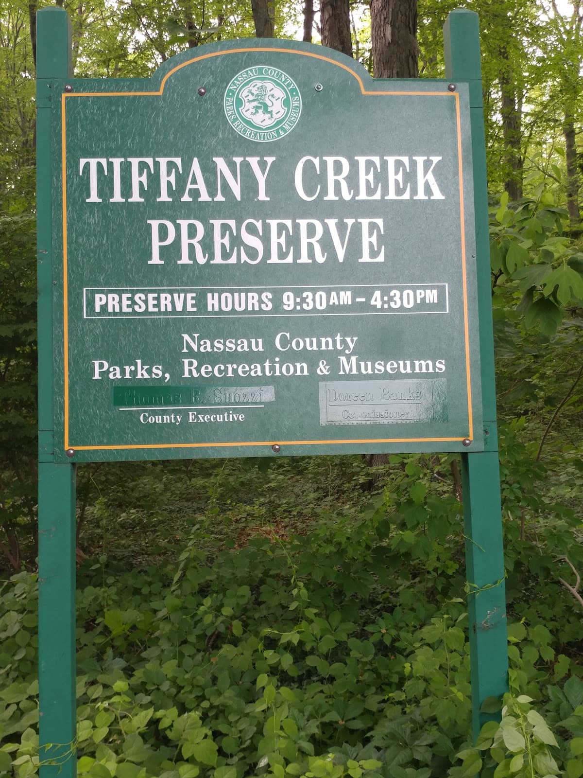 Tiffany Creek Preserve - Image 1