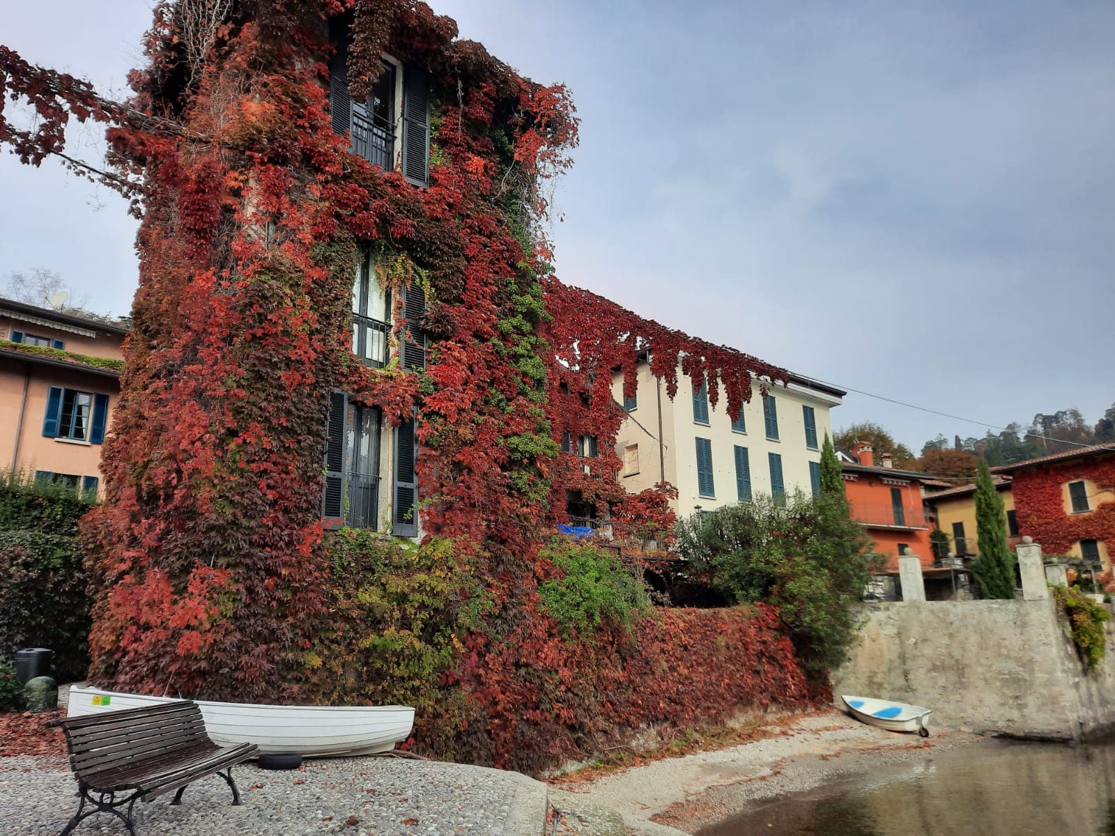 Pescallo - Image 1