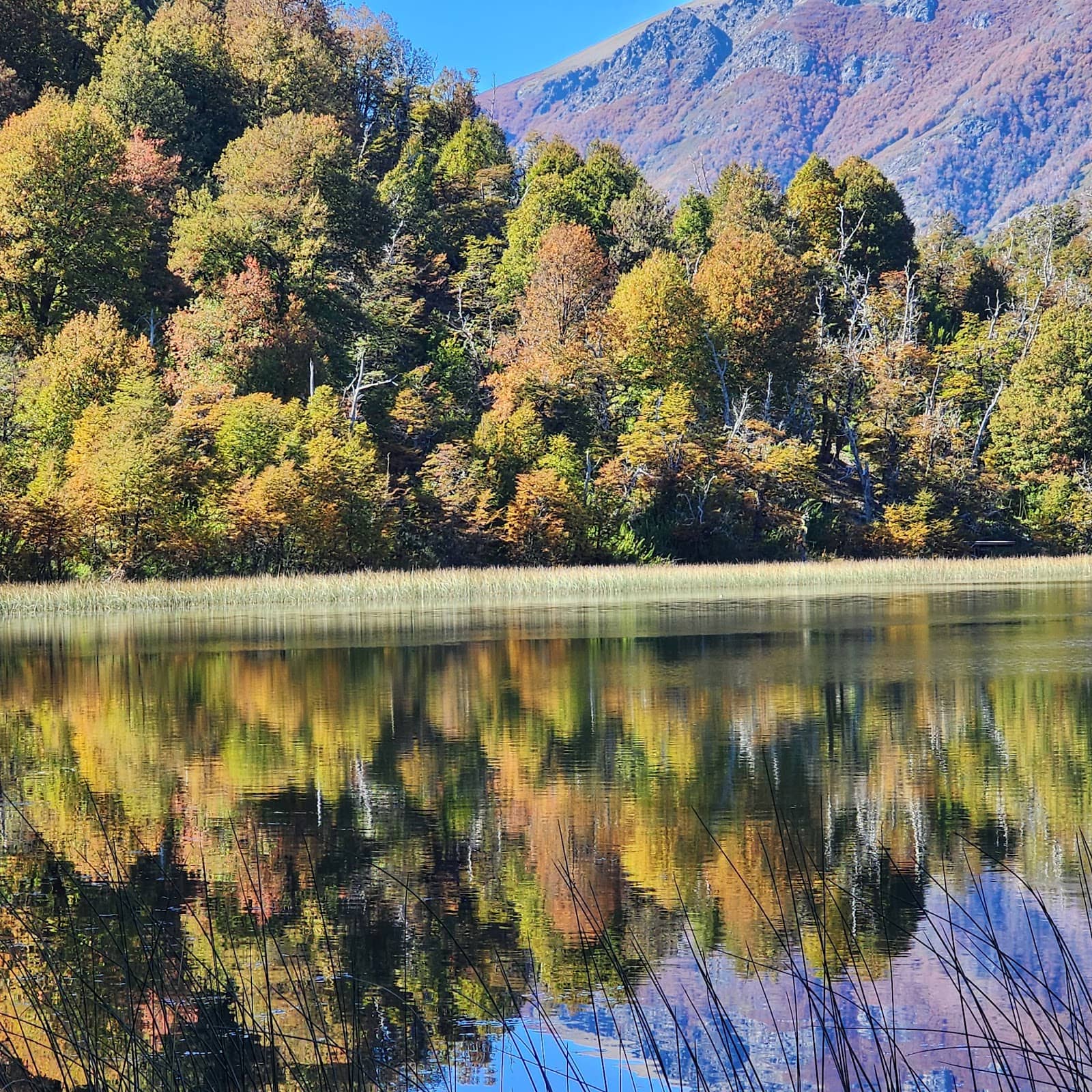 Proximity to Pudu - Pudu Lagoon