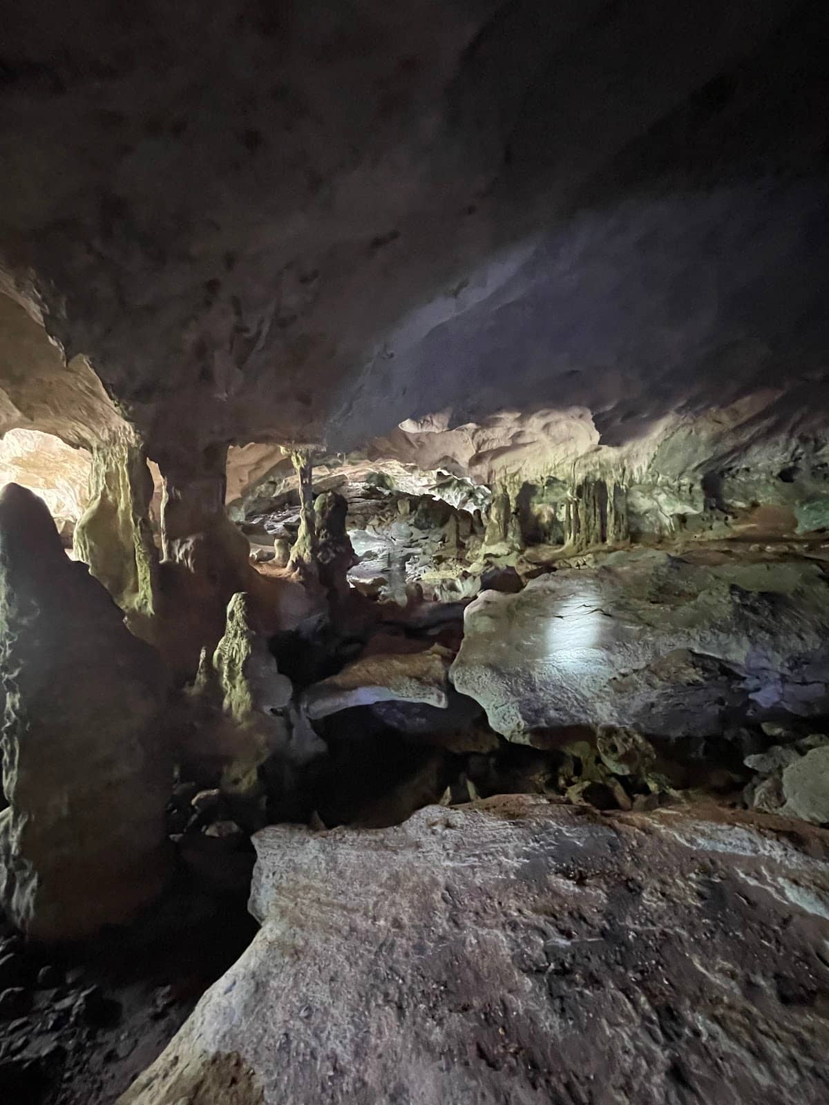 Subterranean Ecosystem