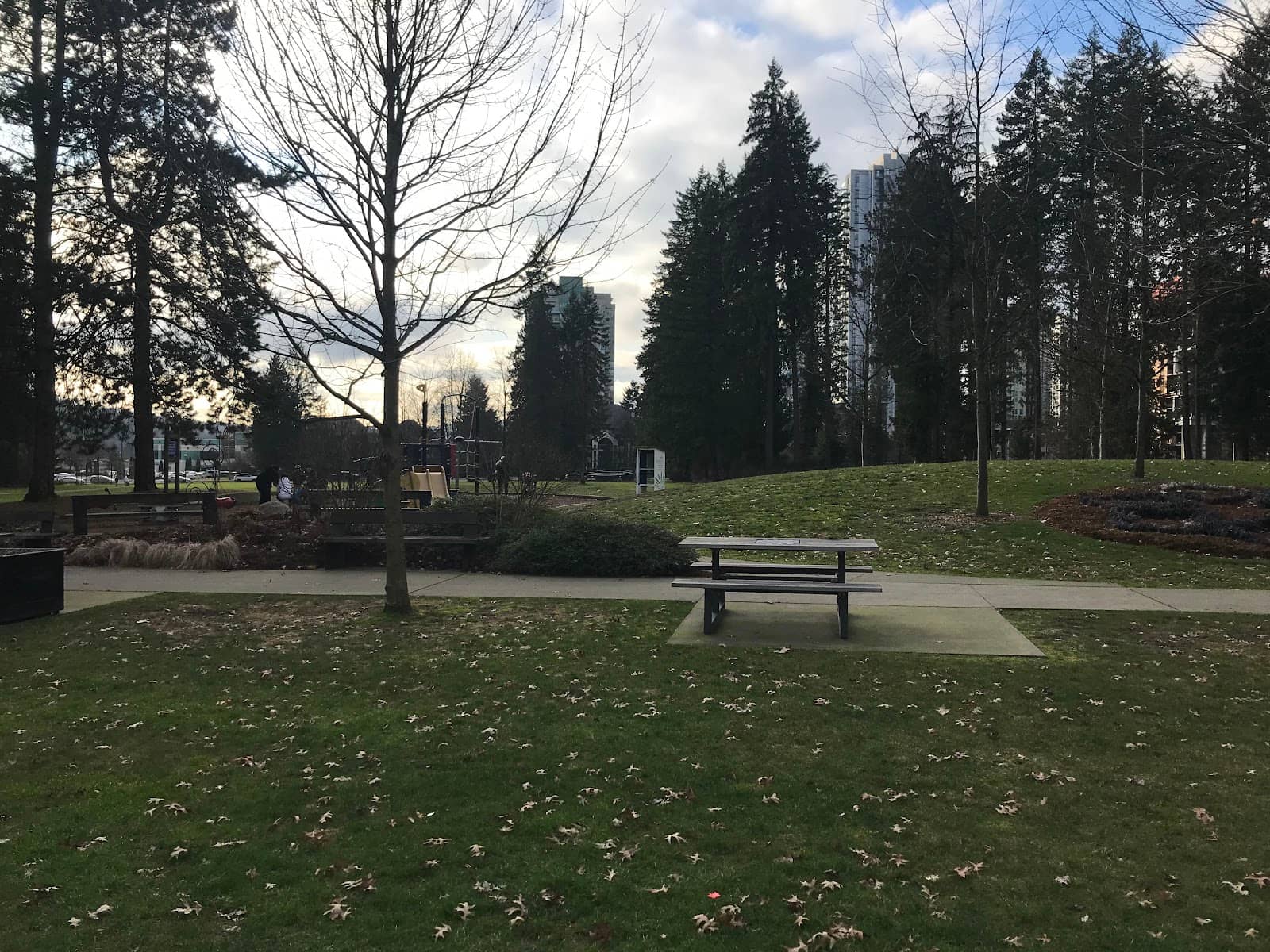 Children's Playgrounds