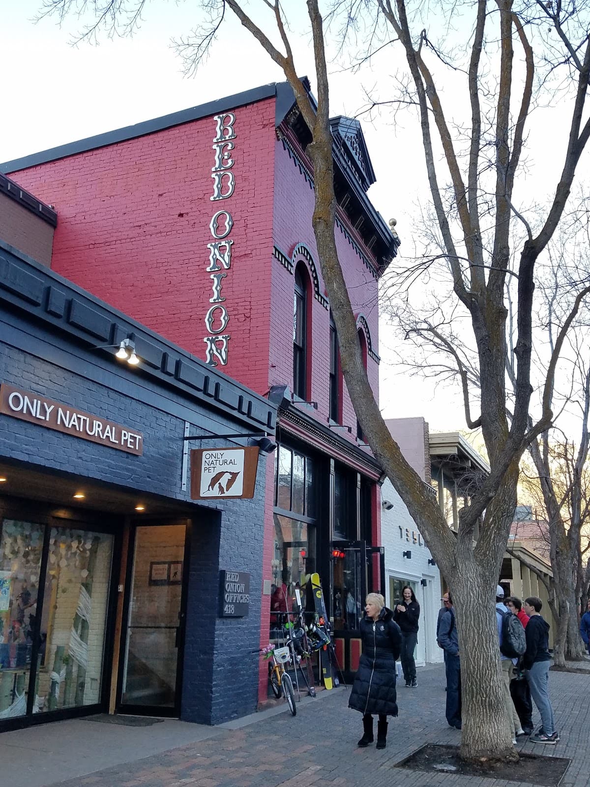 The Red Onion - Image 1