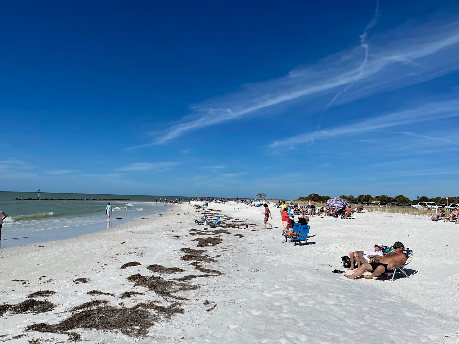 Honeymoon Island State Park - Image 1