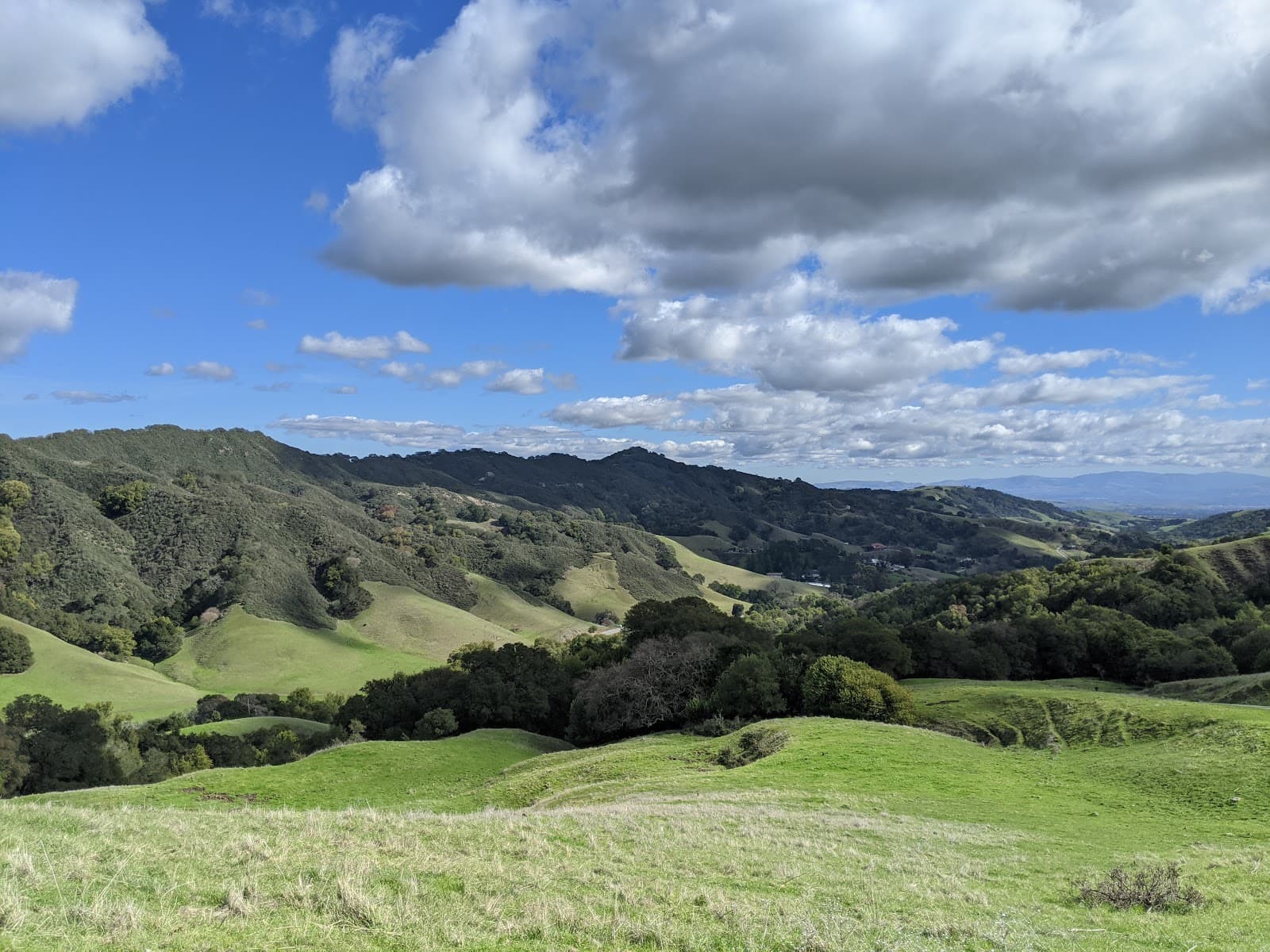 Las Trampas Regional Wilderness - Image 1