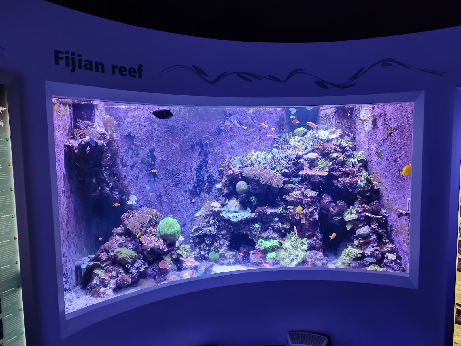 Horniman Museum Aquarium - Image 1