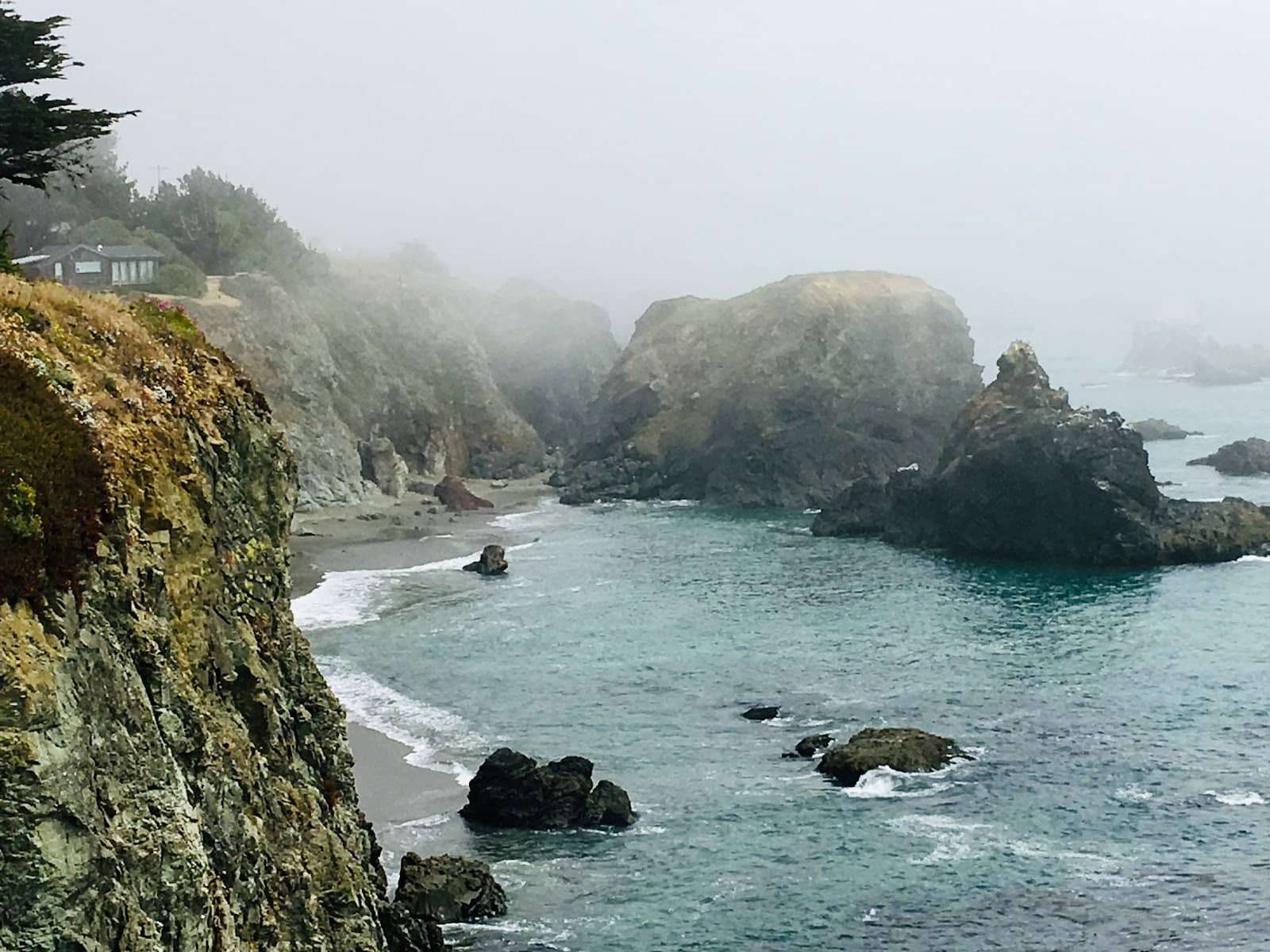 Bodega Head Trail