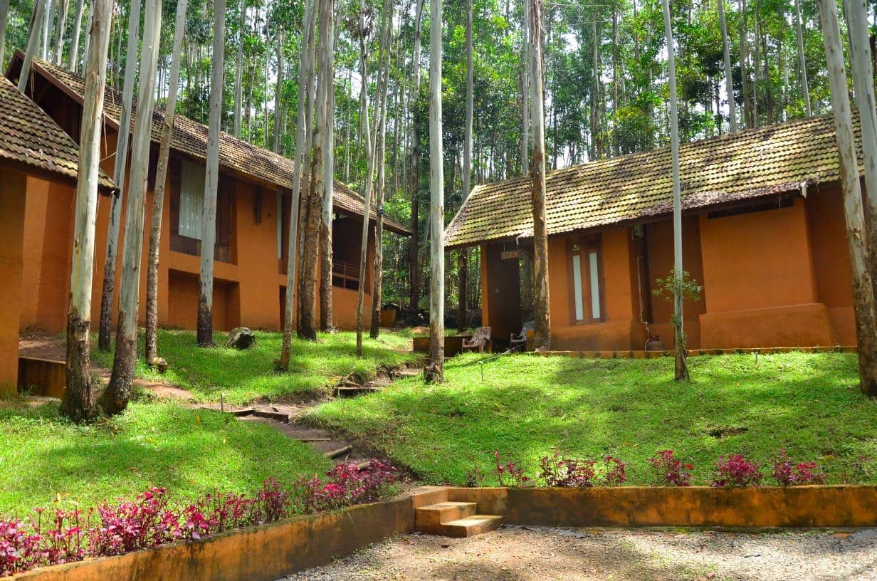 Local Farm Experiences