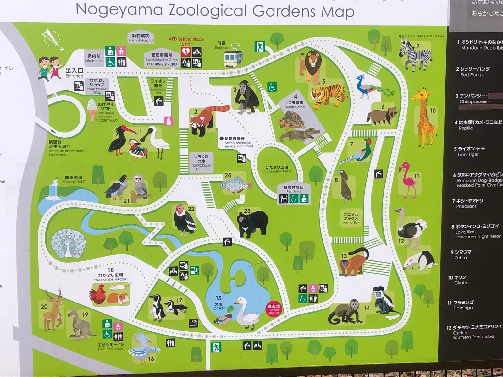 Nogeyama Zoo Yokohama - Image 1